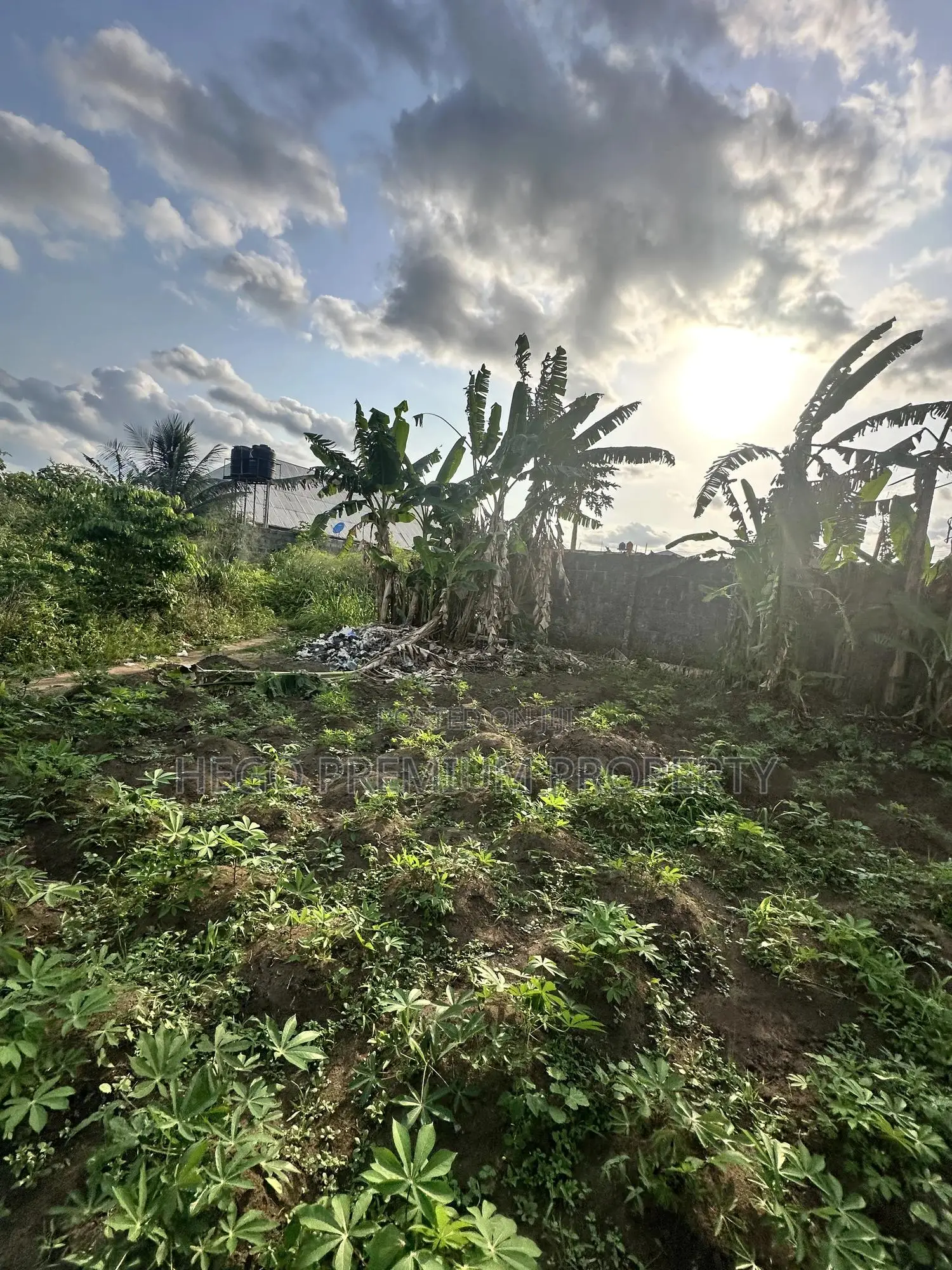 1plotof Land for Sale in Port Harcourt in Choba