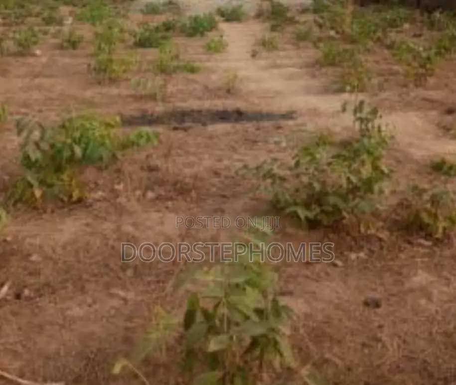 4240.50sqm Commercial Land for Sale in Dape in Dape