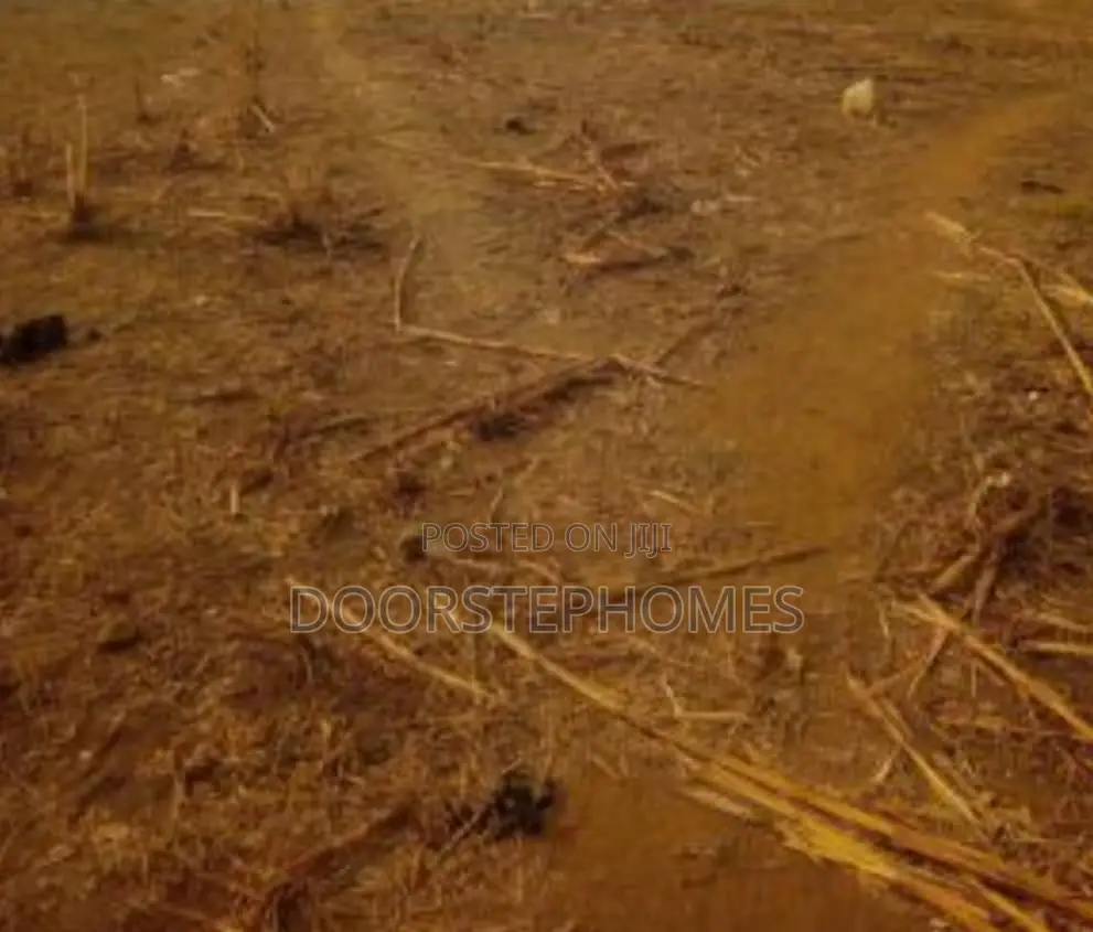1561.30sqm Commercial Land for Sale in Katampe in Katampe (Main)