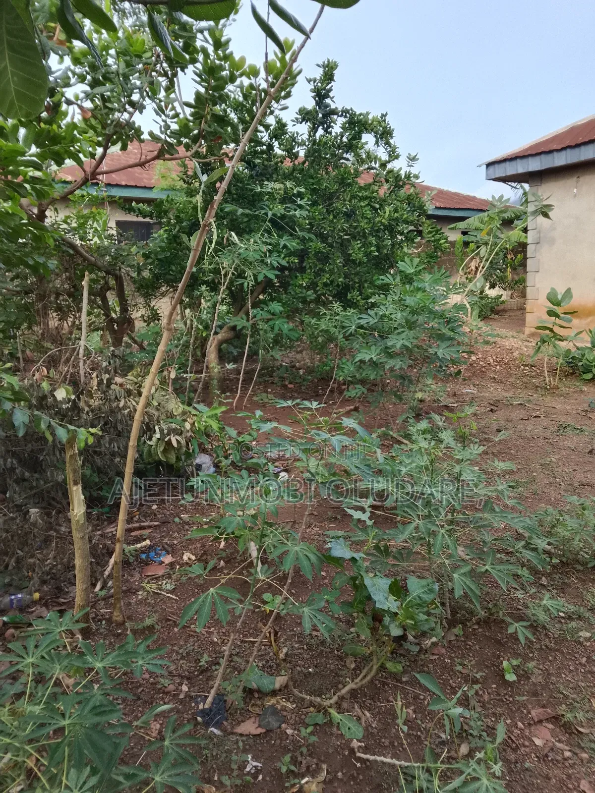 Lands and Plots for Sale in Ado Ekiti