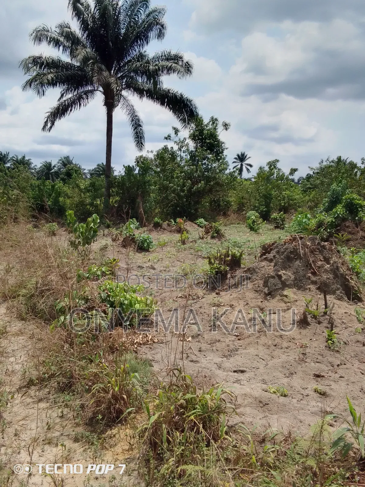 Low Cost Land for Sale. in Ukwa