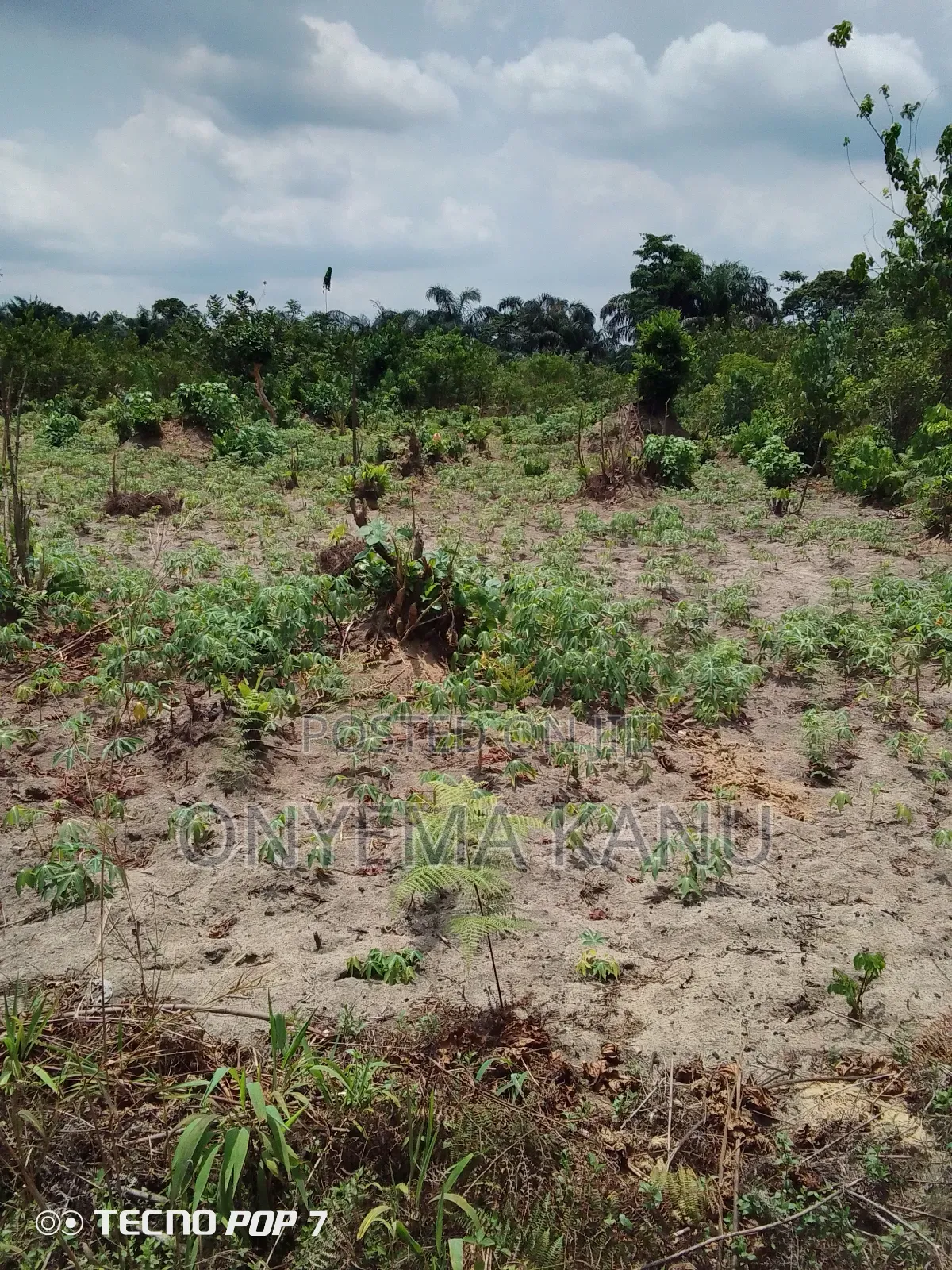 Low Cost Land for Sale. in Ukwa