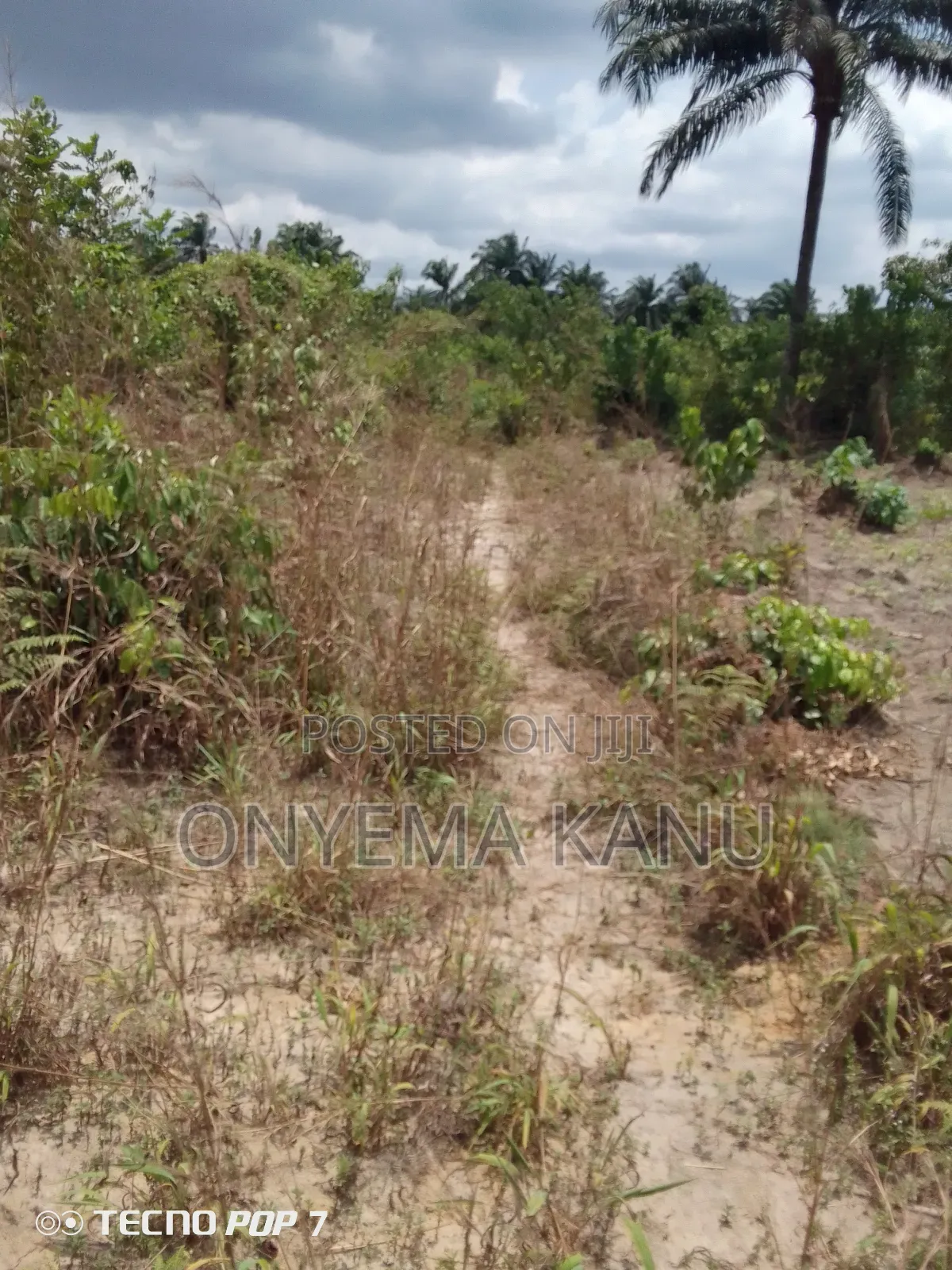 Low Cost Land for Sale. in Ukwa