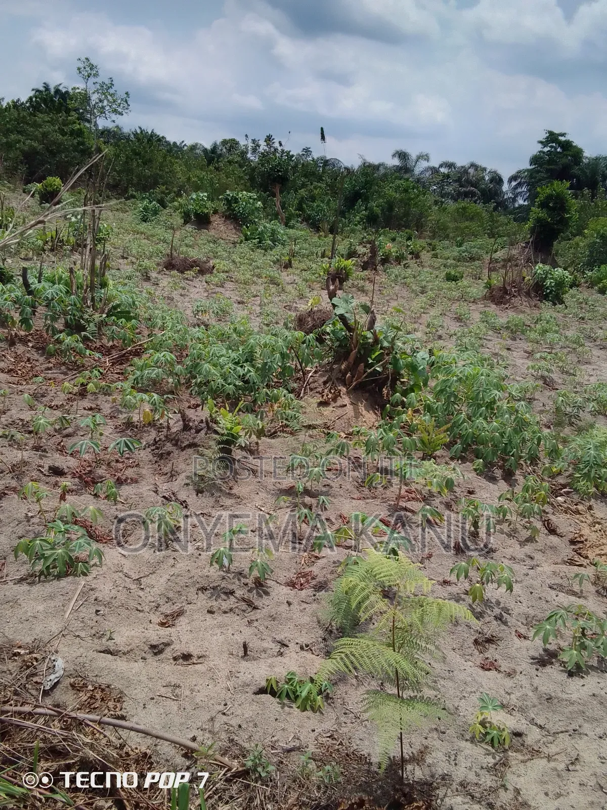 Low Cost Land for Sale. in Ukwa