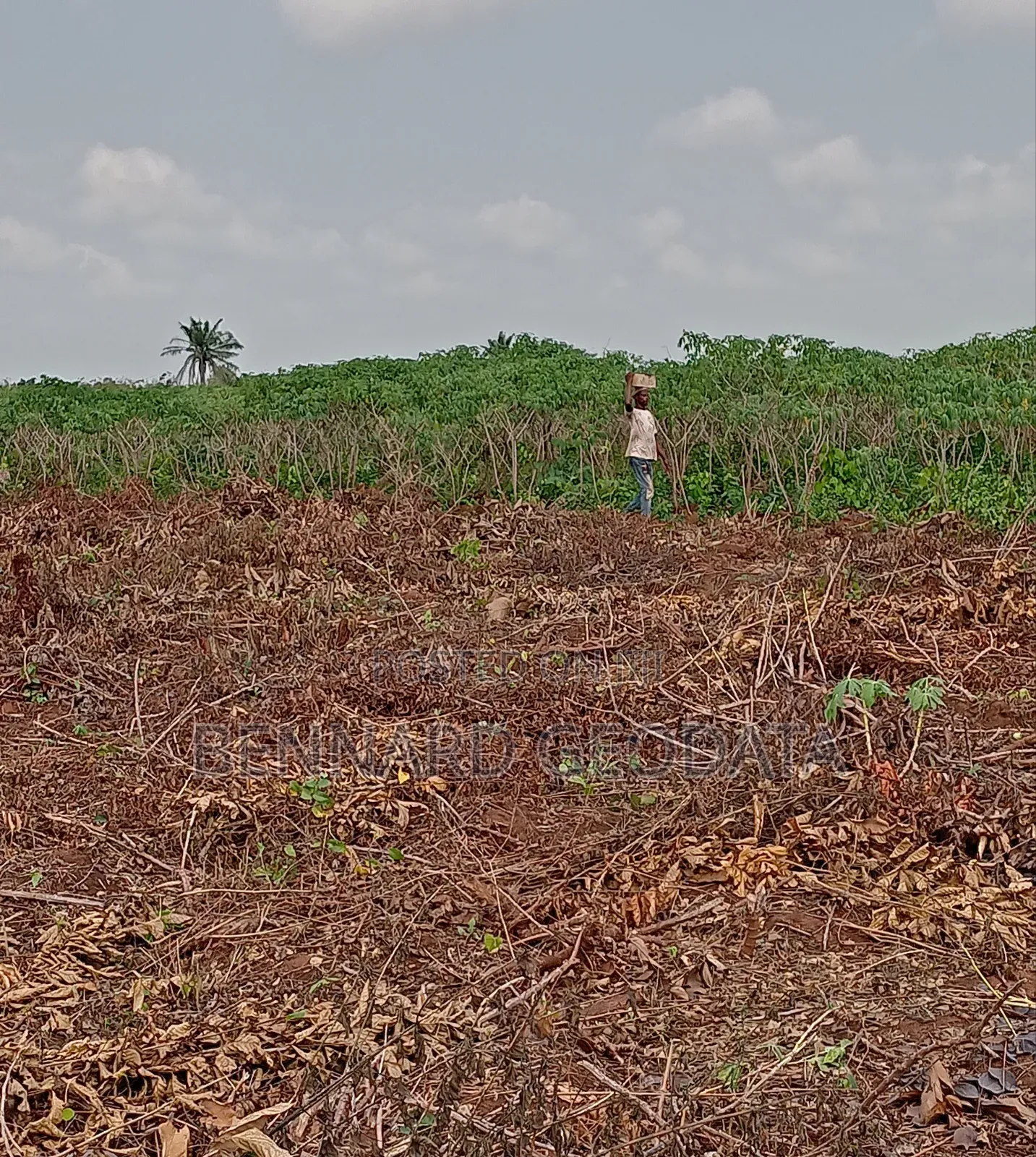 Residential Plots for Sale in Ewekoro