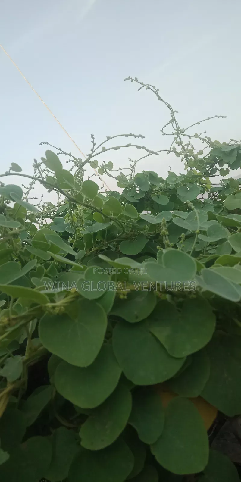 Land for Sale in Kuje