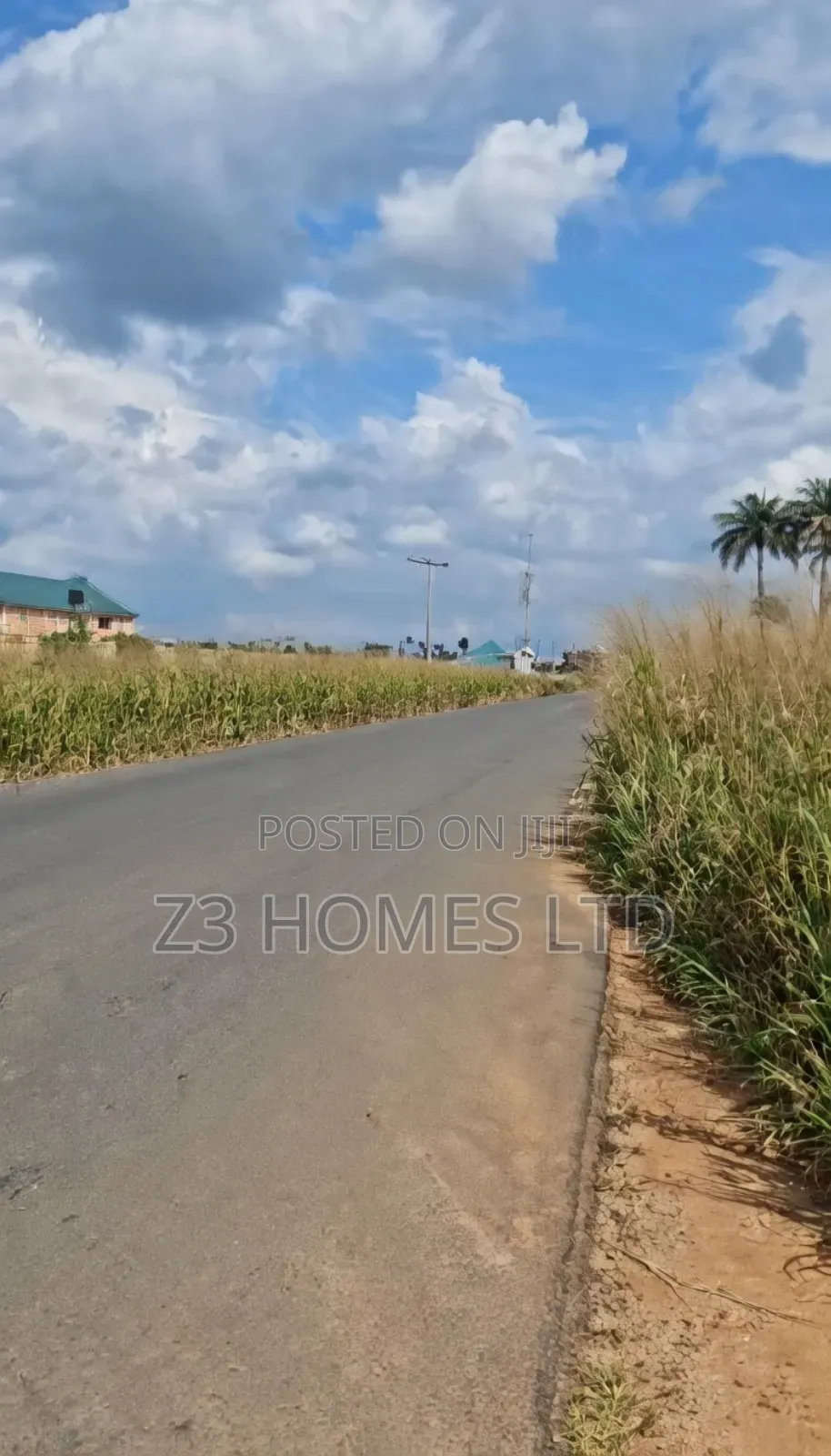 Massive Plots for Sale at Olive City Estate B in Etche
