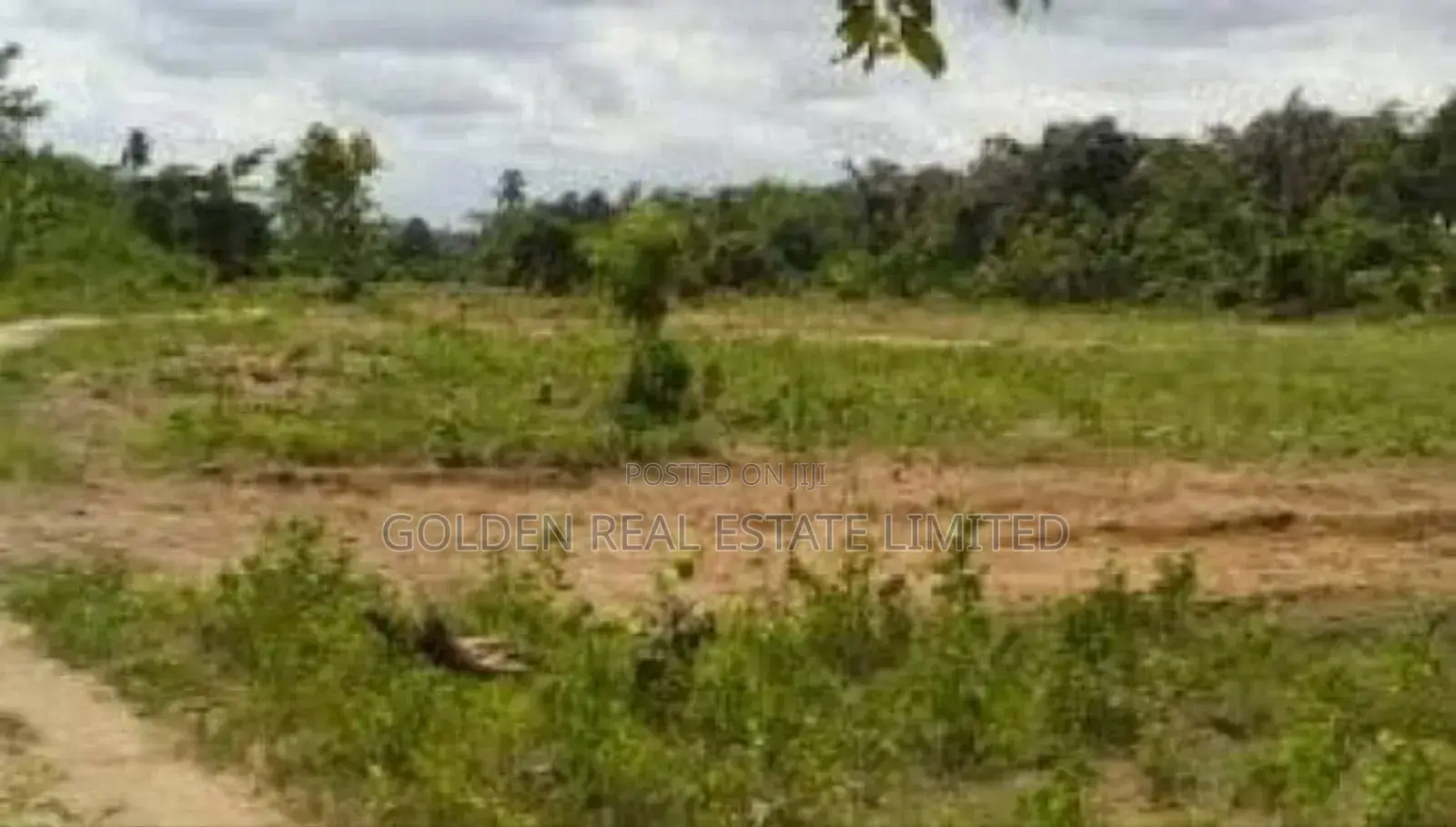 5 Plots of Land for Sale Behind CBN Along New Iyin Road in Ado Ekiti