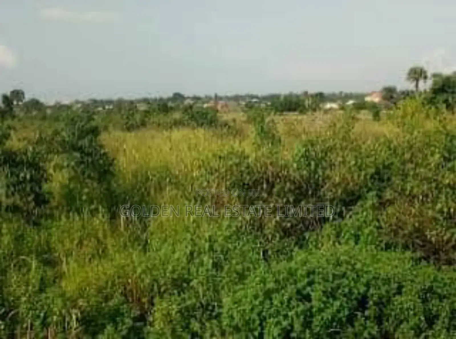 5 Plots of Land for Sale Behind CBN Along New Iyin Road in Ado Ekiti