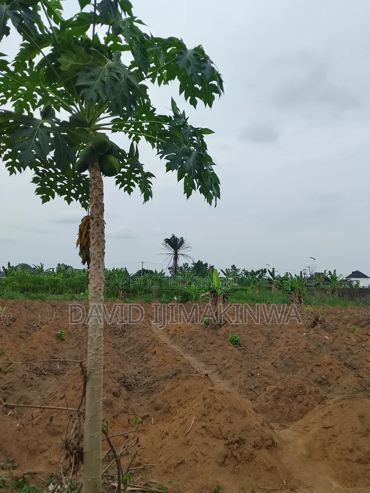 6 Plots On Major Road – Rukpokwu ₦20m/Plot in Port-Harcourt