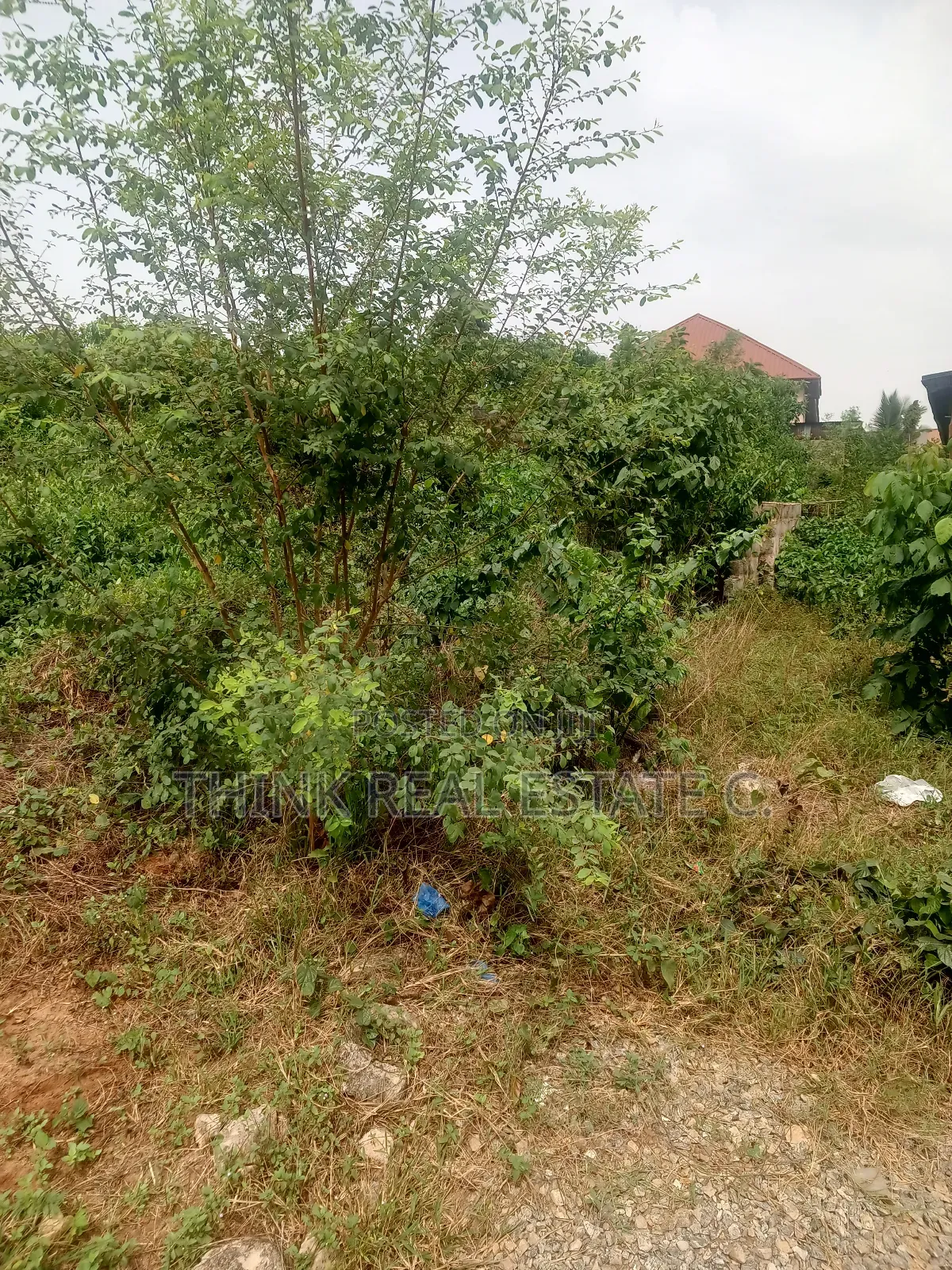 Land for Sale at Airport Road for 35m Naira Negotiable. Near the Road in Benin City