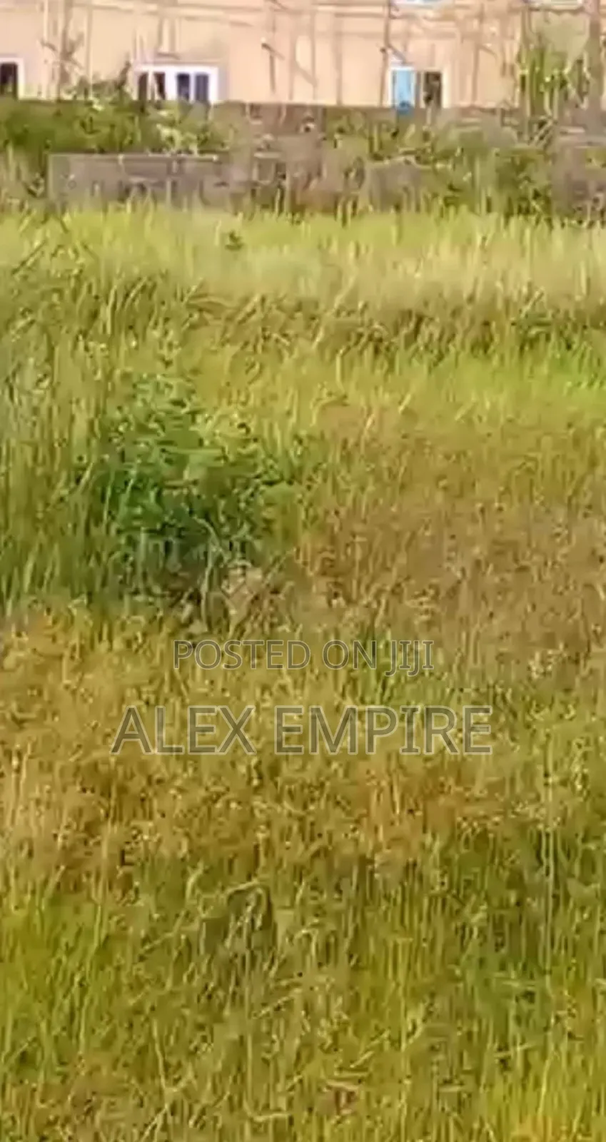 Full Plot of Land in Bucknor, Isolo in Bucknor