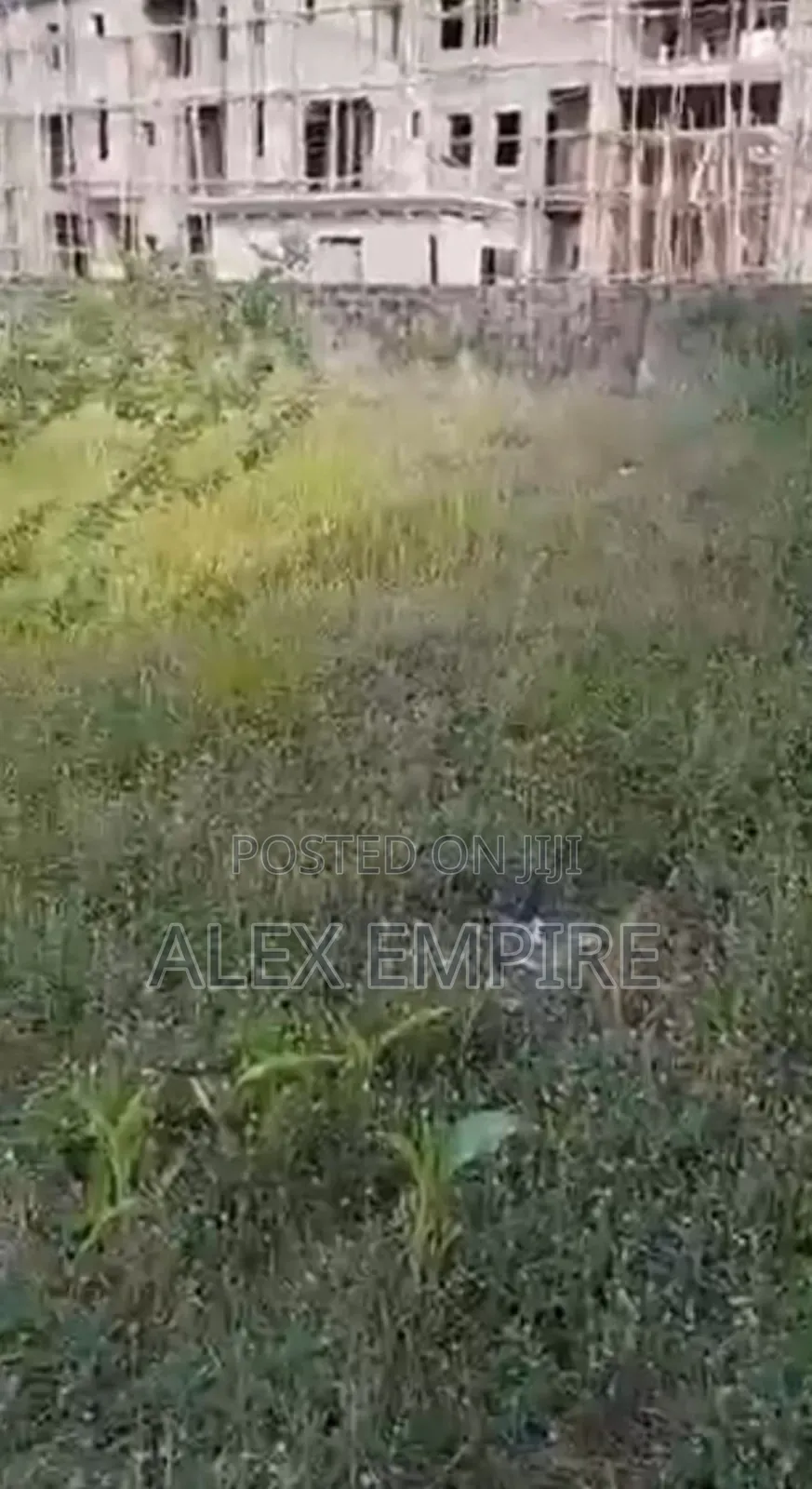 Full Plot of Land in Bucknor, Isolo in Bucknor