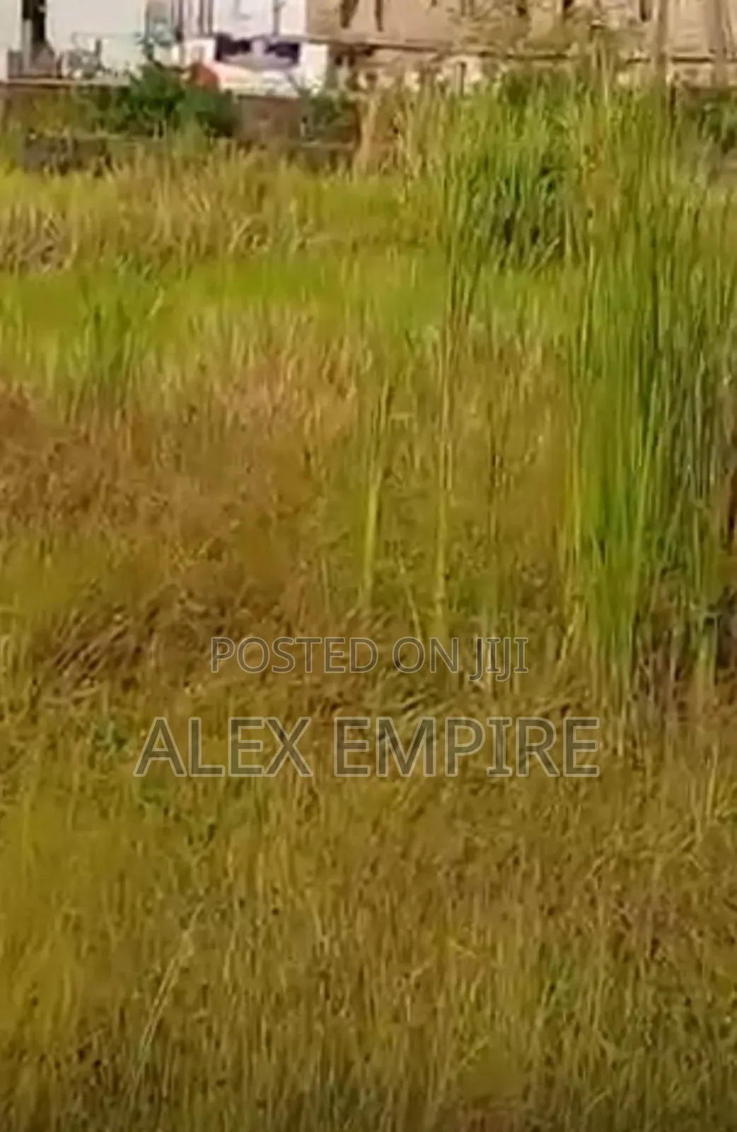 Full Plot of Land in Bucknor, Isolo in Bucknor