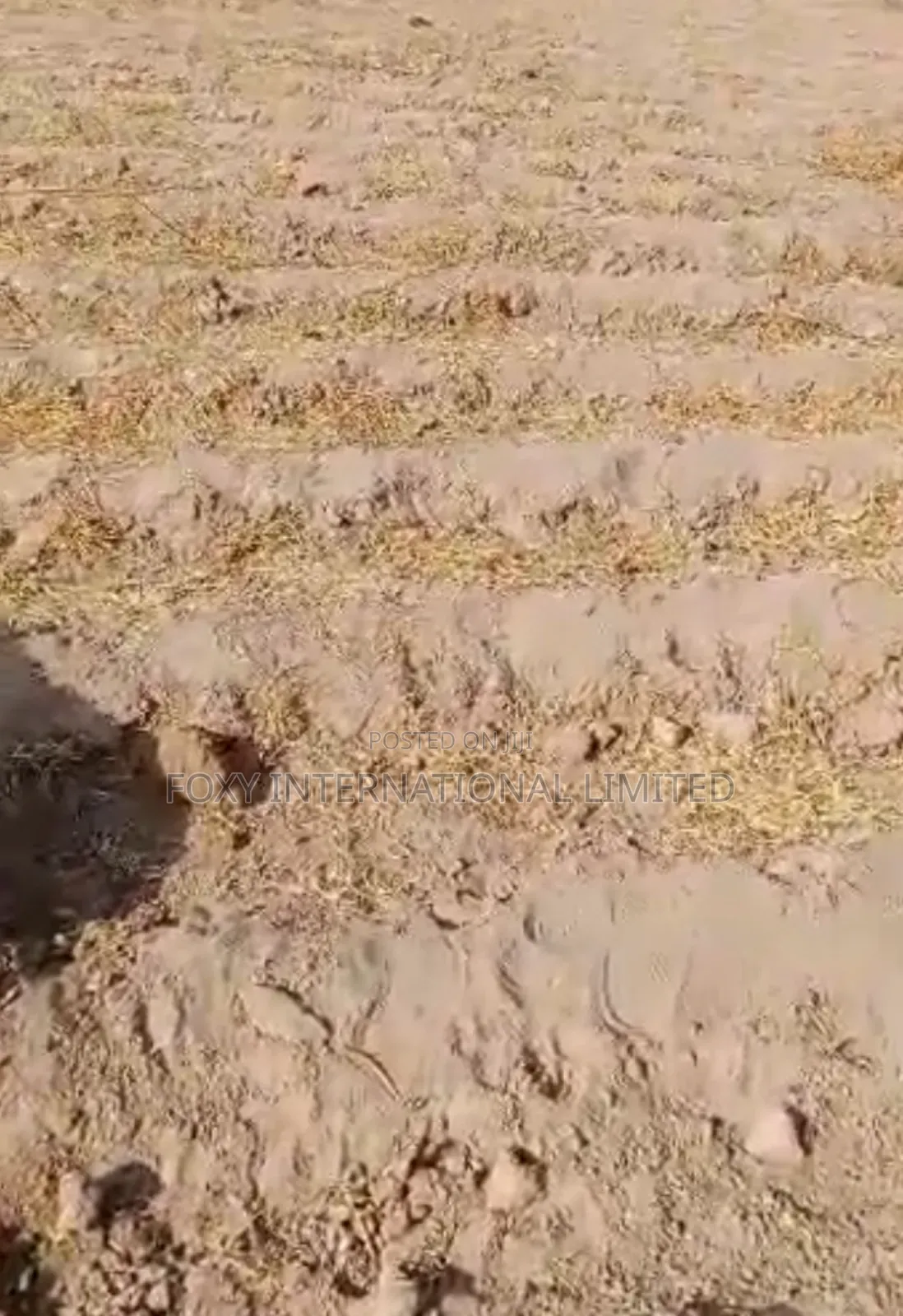 Gwagwalada Residential Land for Sale in Kutunku