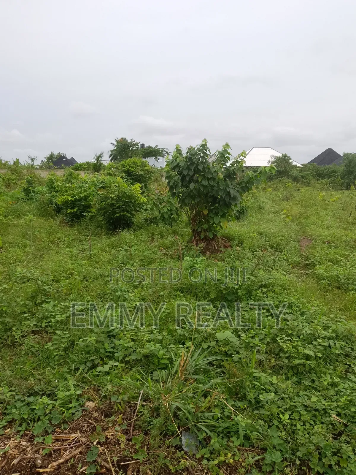 Affordable Land for Sale in Eneka