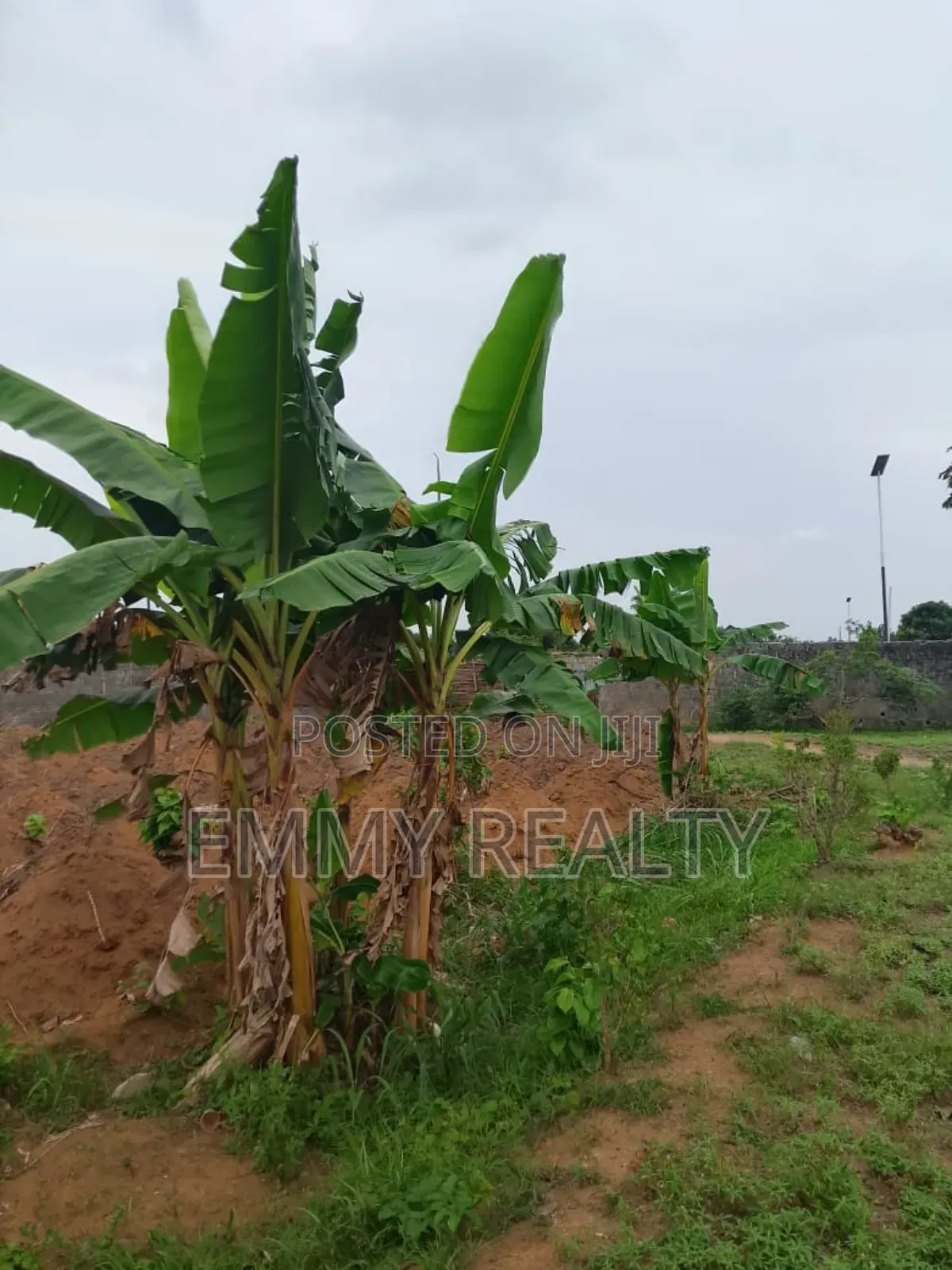 Affordable Land for Sale in Eneka