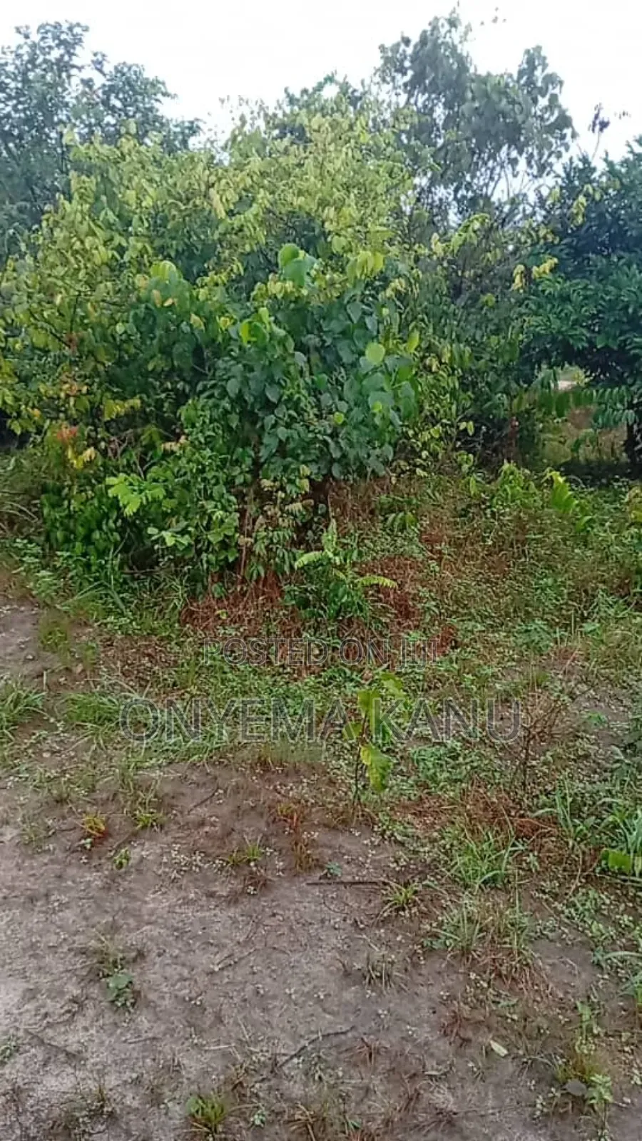 100 Plots for Urgent Sale in Ukwa