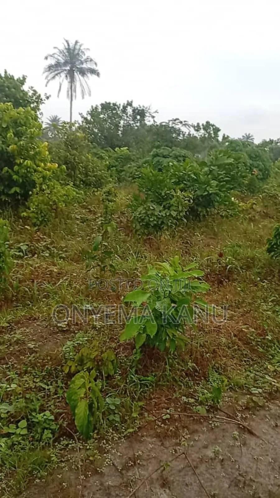 100 Plots for Urgent Sale in Ukwa