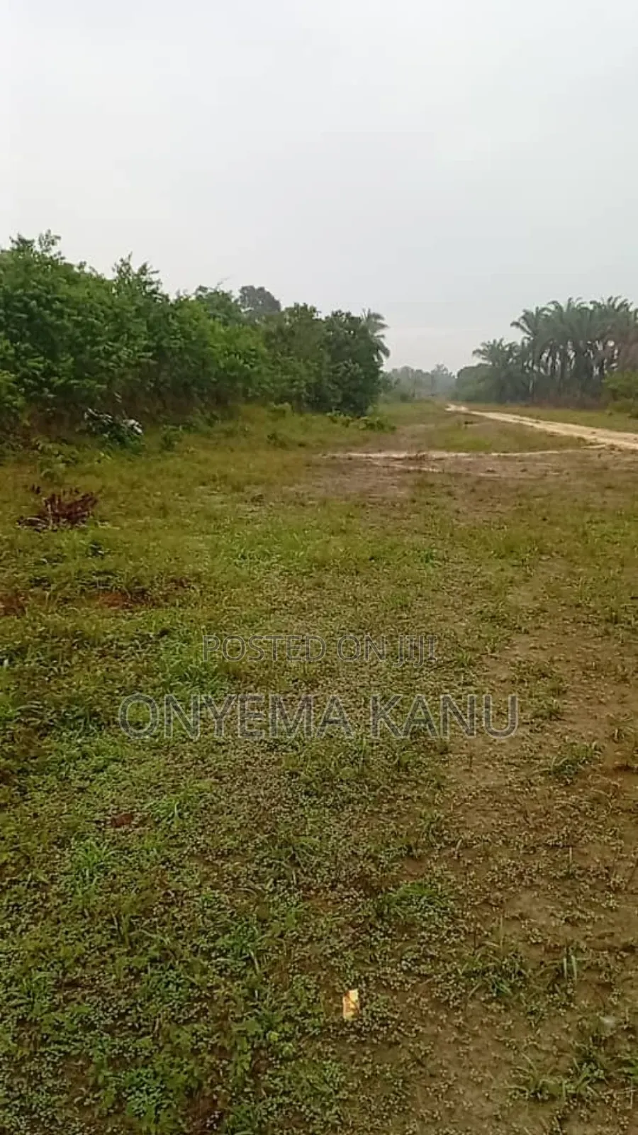 100 Plots for Urgent Sale in Ukwa