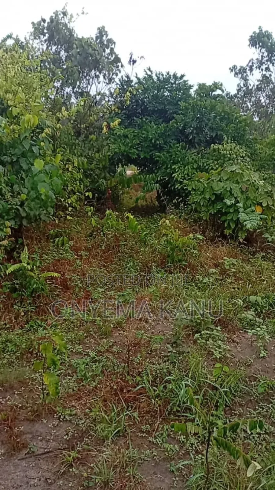 100 Plots for Urgent Sale in Ukwa