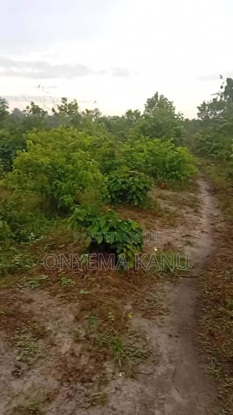 100 Plots for Urgent Sale in Ukwa
