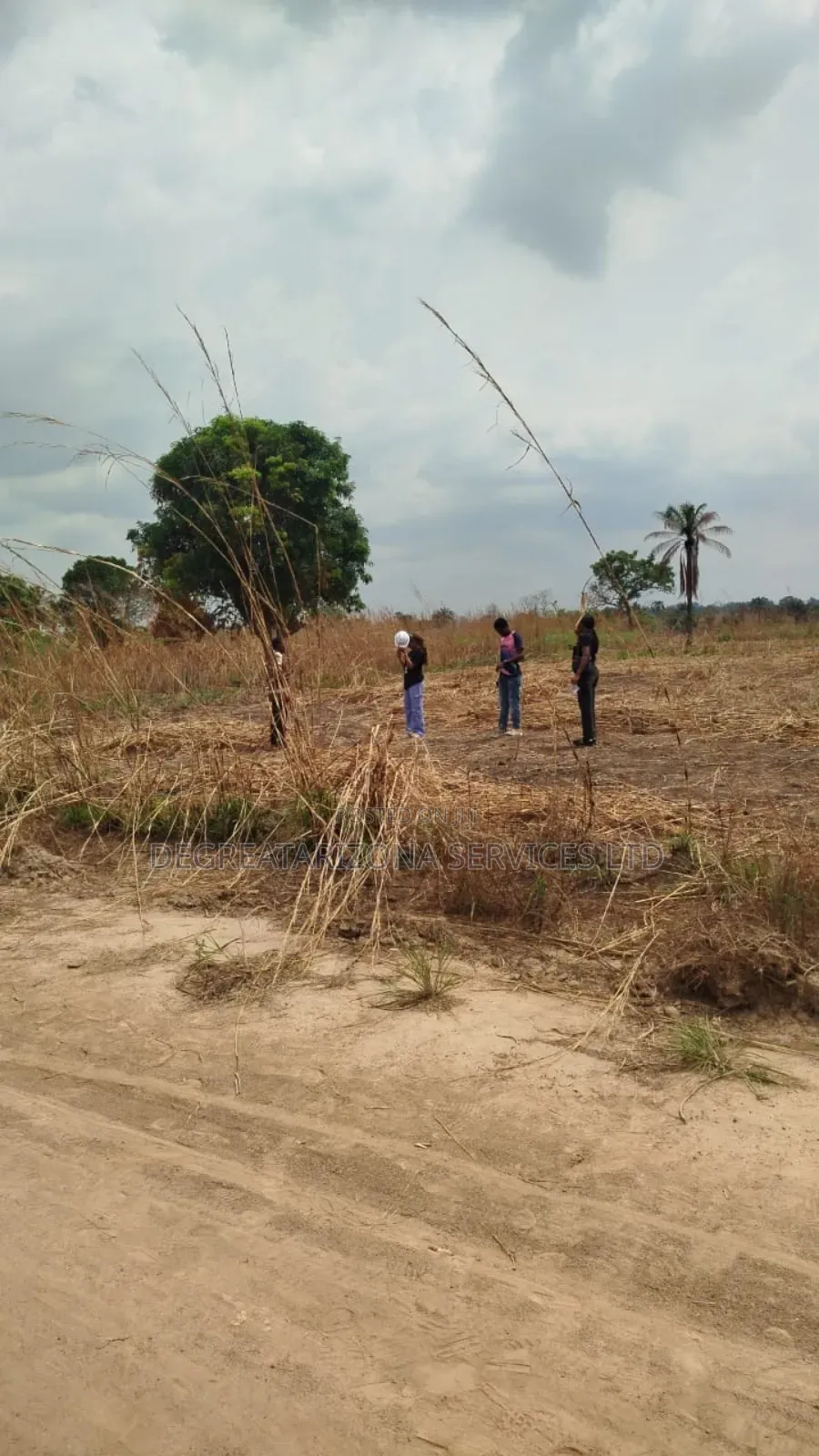 Plots of Lands Available for Sale in an Agro Land in Ayamelum