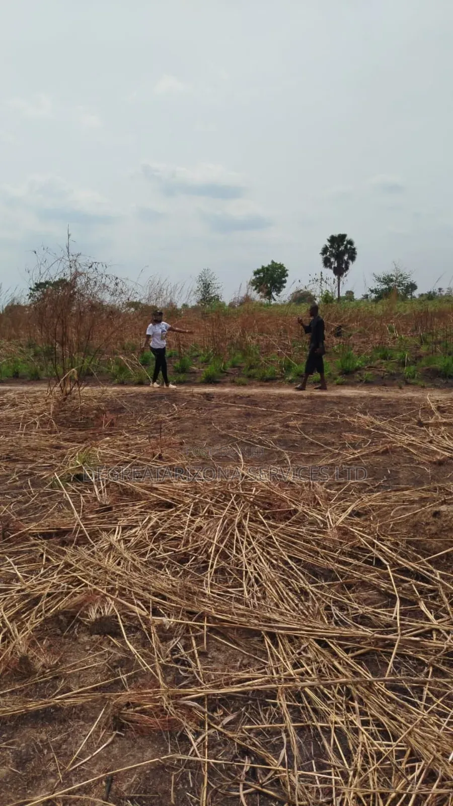 Plots of Lands Available for Sale in an Agro Land in Ayamelum