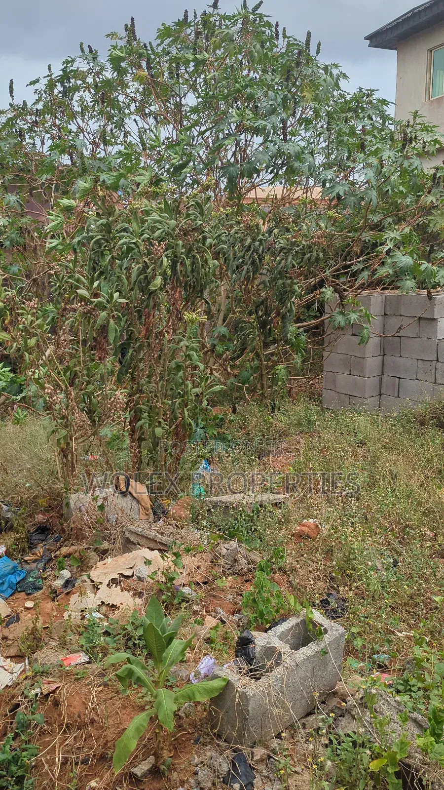 Piece Plot of Land, Close to the Express at Igbogila - Ipaja in Ipaja / Ipaja