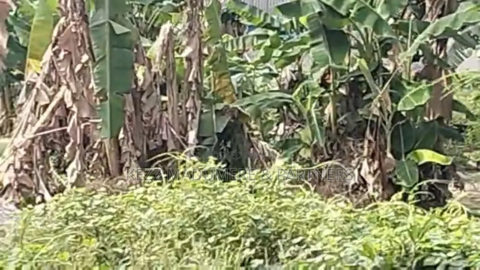 For Sale : 4 Plots at Eneke /Igwuruta Airport Rd, Ph in Obio-Akpor