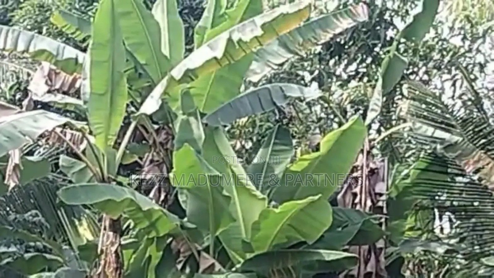 For Sale : 4 Plots at Eneke /Igwuruta Airport Rd, Ph in Obio-Akpor