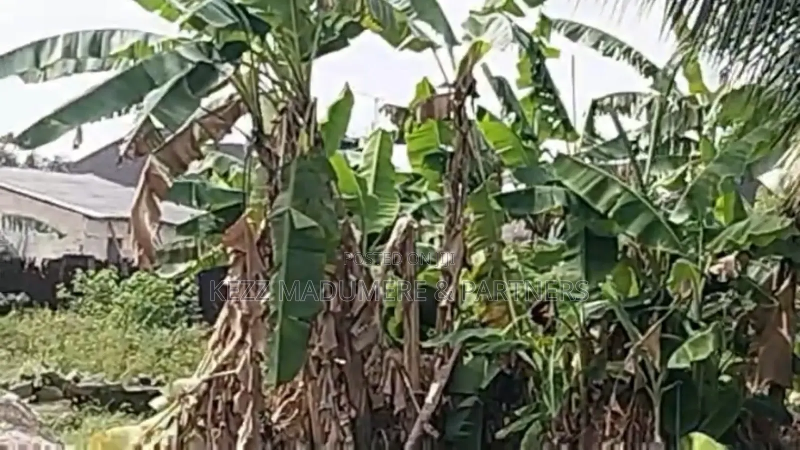 For Sale : 4 Plots at Eneke /Igwuruta Airport Rd, Ph in Obio-Akpor