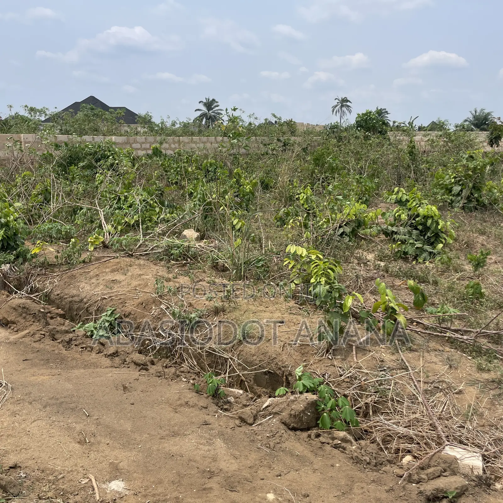 Osongoma Estate 1000sqm All Documents Intact in Uyo