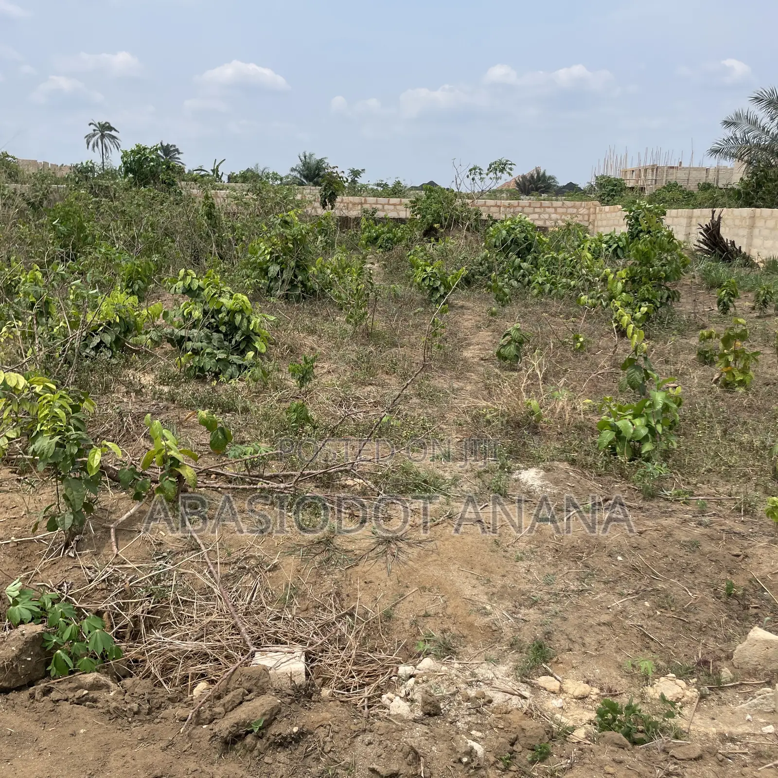 Osongoma Estate 1000sqm All Documents Intact in Uyo