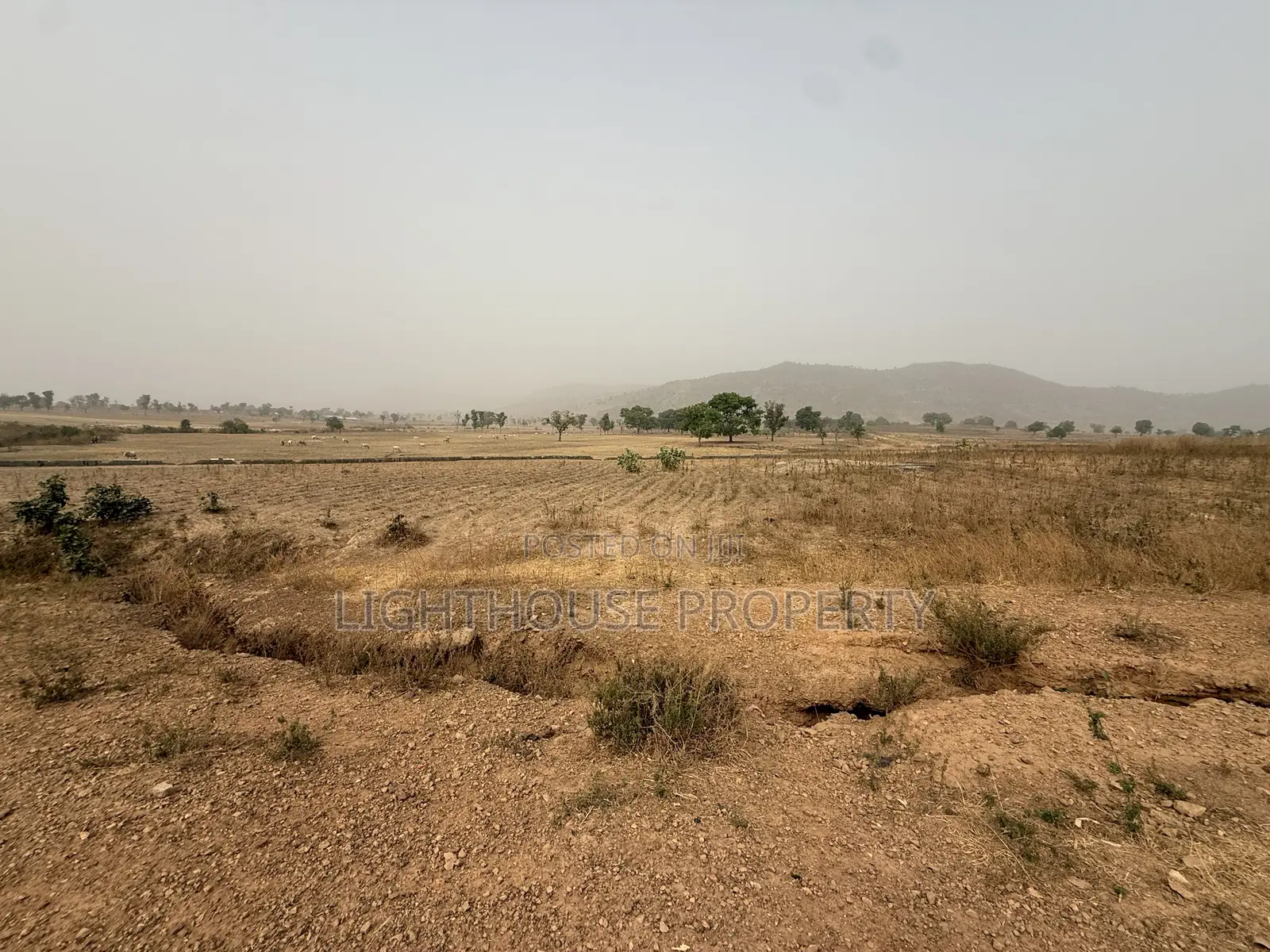 Suitable Land for Farming in Karu-Nasarawa