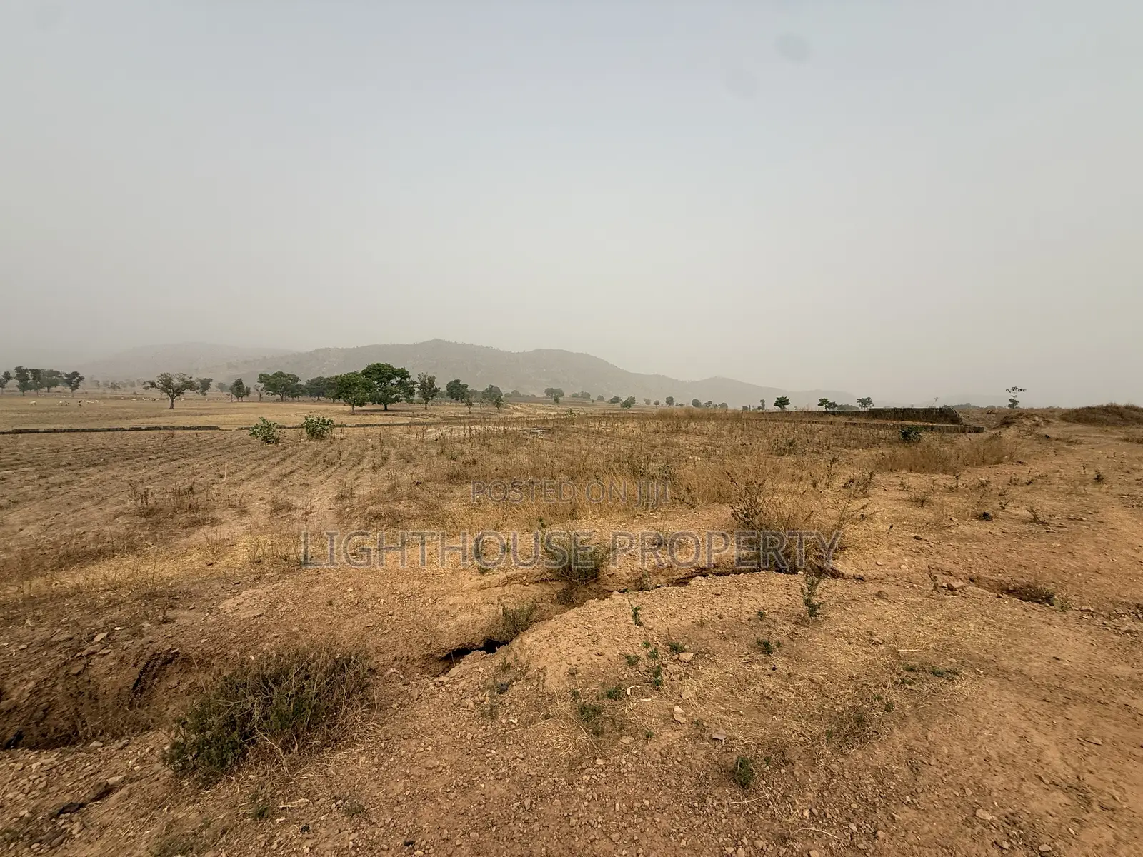 Suitable Land for Farming in Karu-Nasarawa