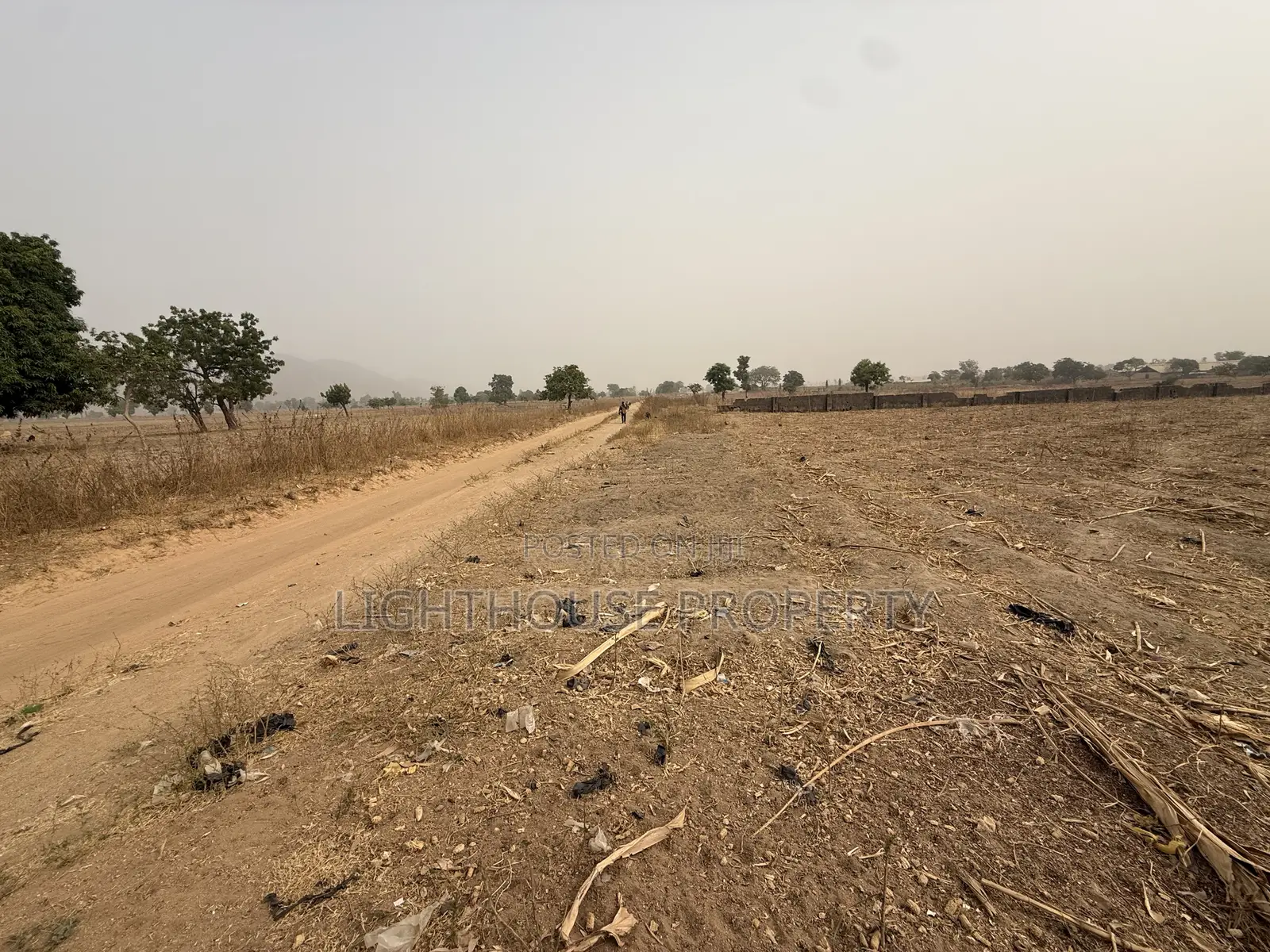 Suitable Land for Farming in Karu-Nasarawa
