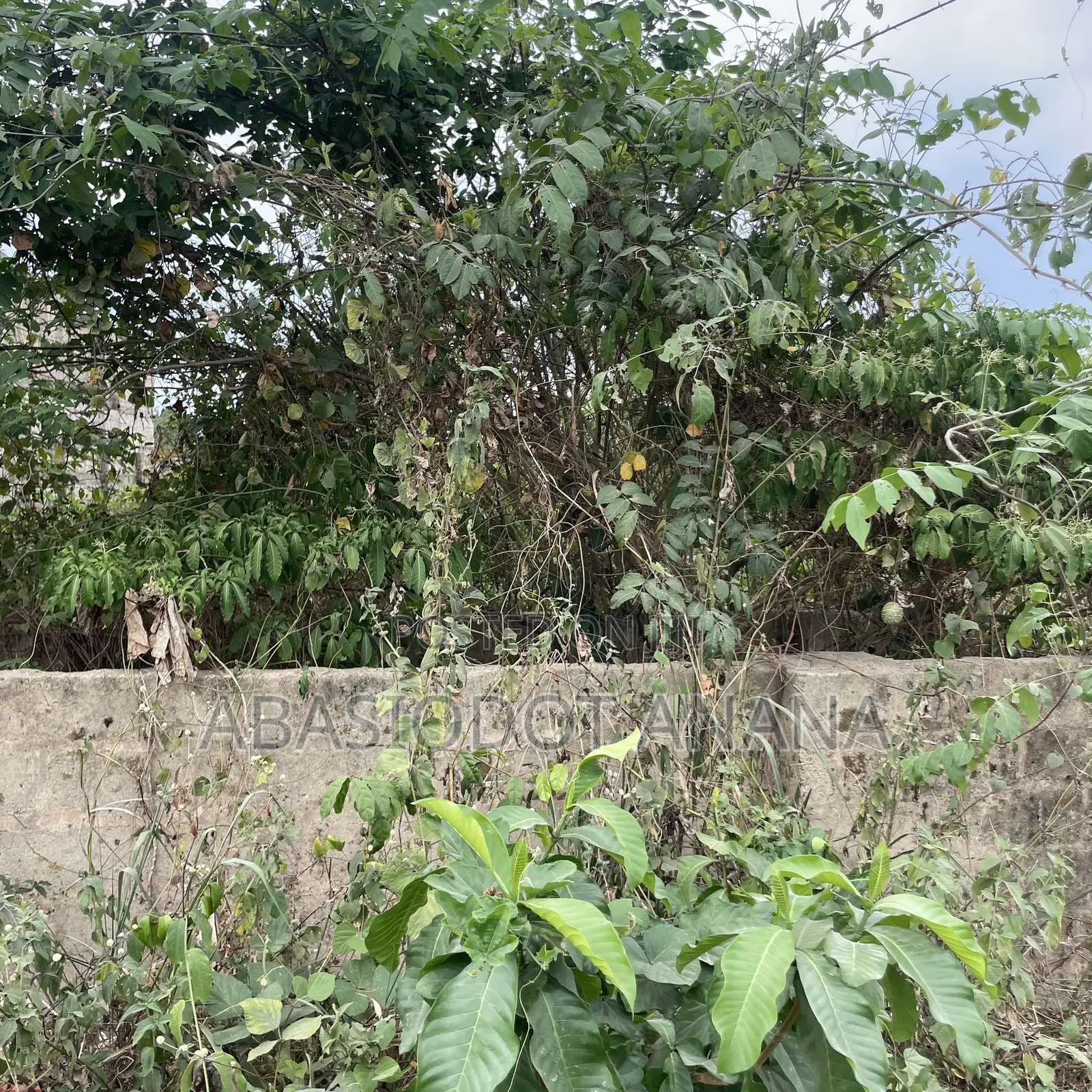 Osongoma Estate 850sqm All Documents Intact in Uyo