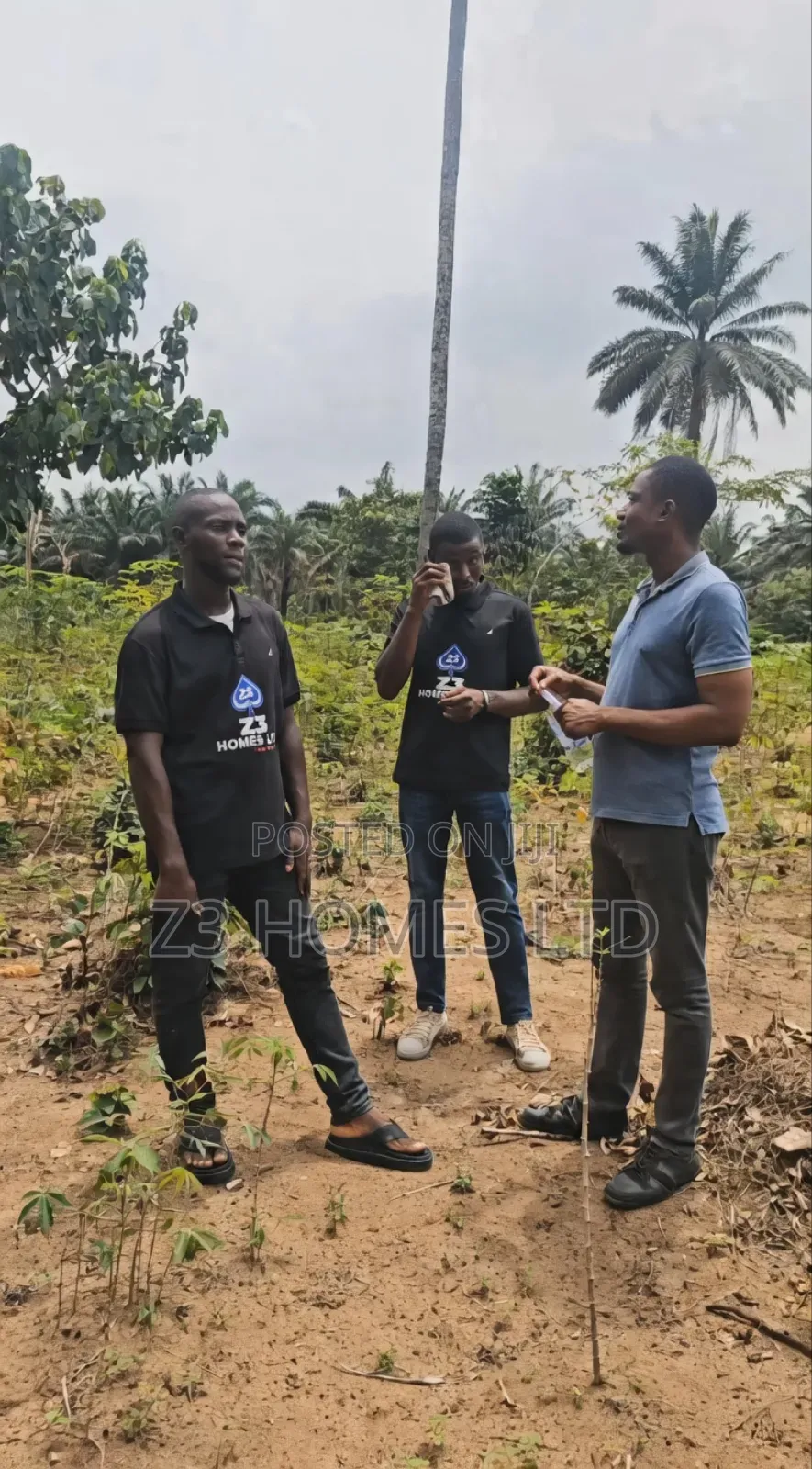 Olive City Estate A in Etche