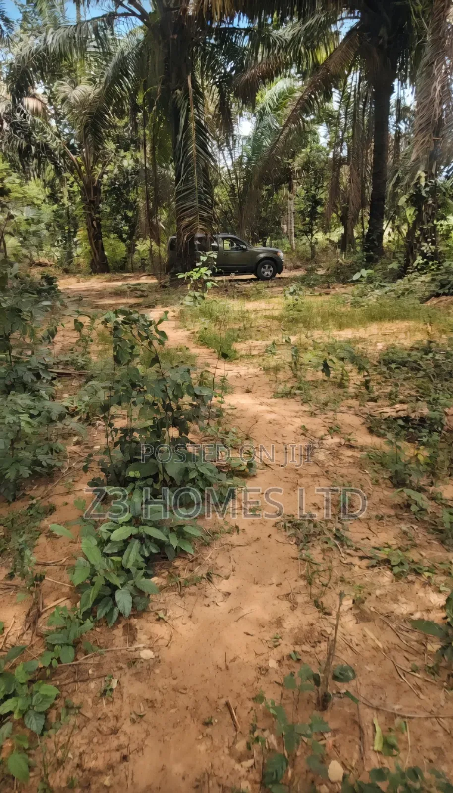 Olive City Estate A in Etche