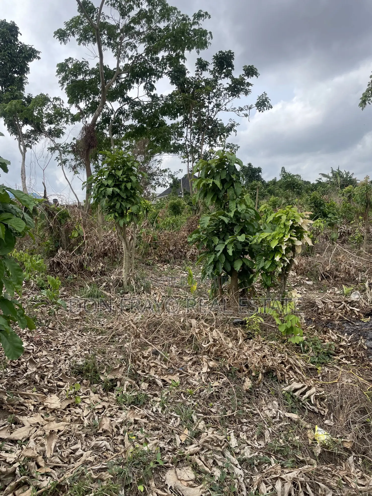 635 SQM of Residential Land for Sale at Koroboto Ajia Egbeda Ibadan in Egbeda / Egbeda