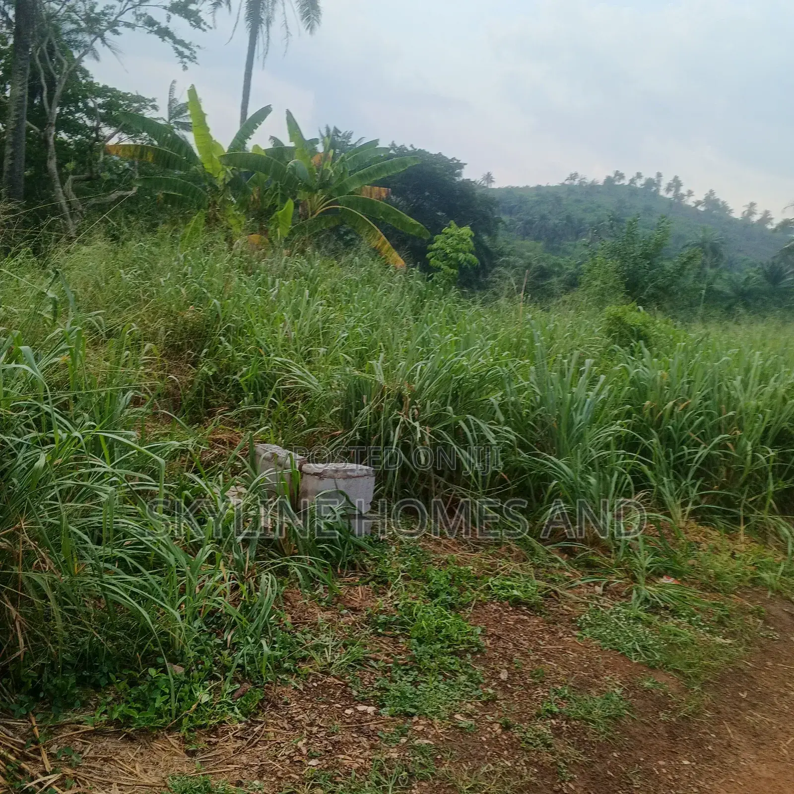 Two Plot of Land of 100by 100ft Is for Sale at Laderin Extension Abk in Obafemi-Owode