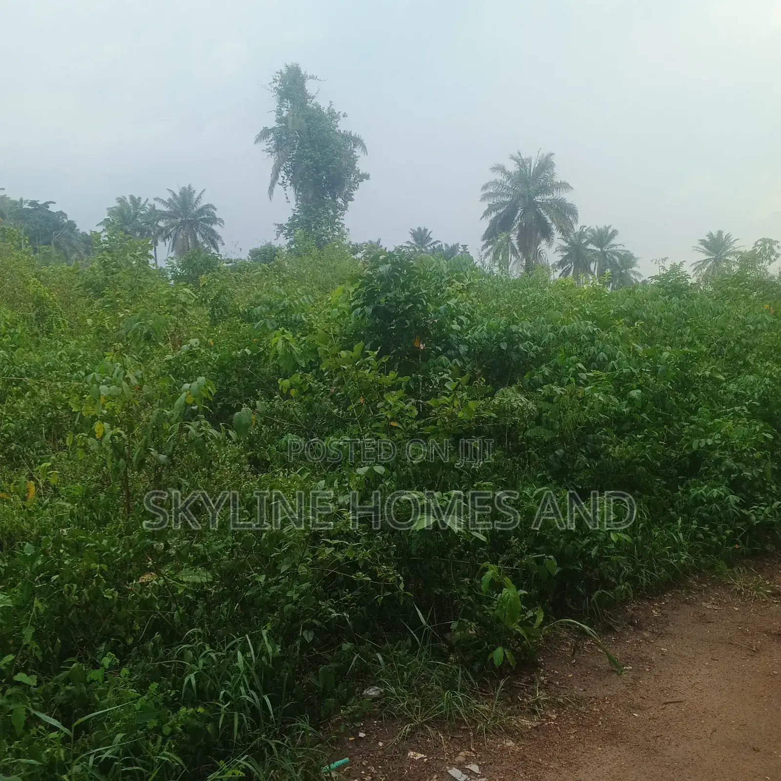 Two Plot of Land of 100by 100ft Is for Sale at Laderin Extension Abk in Obafemi-Owode