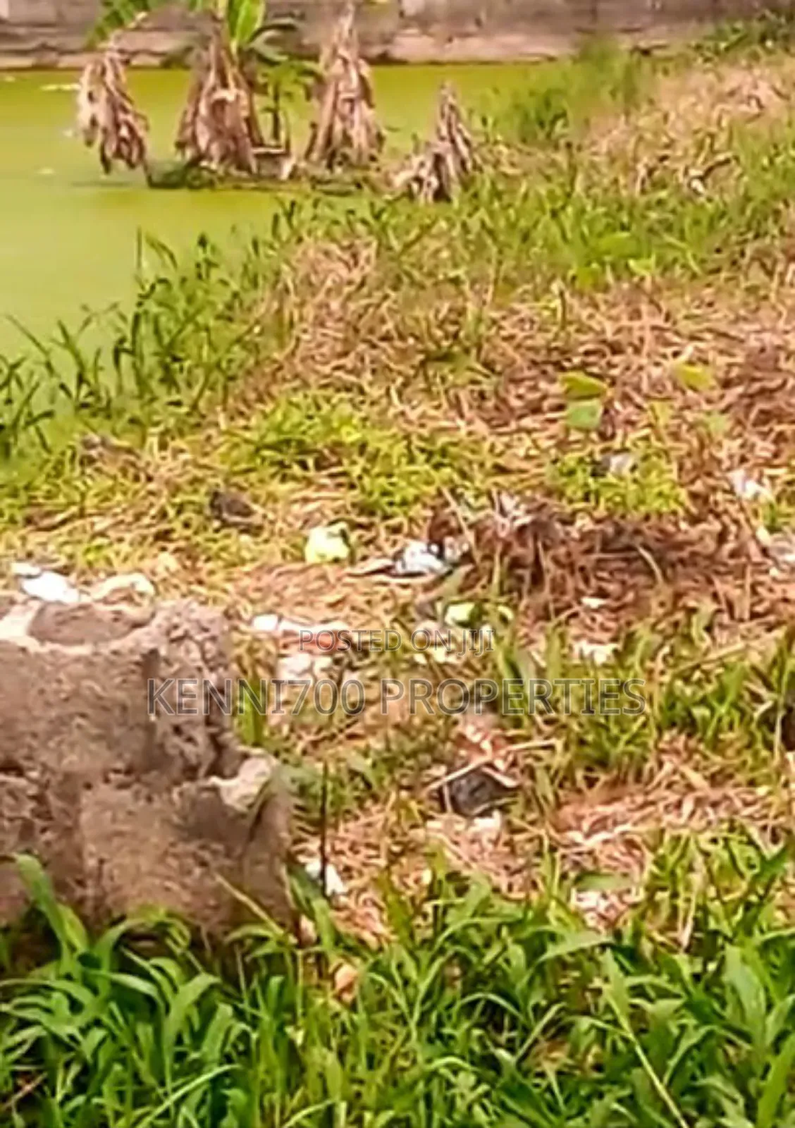 Quarter Plot of Land at Iyanoba for Sale in Iba / Ojo
