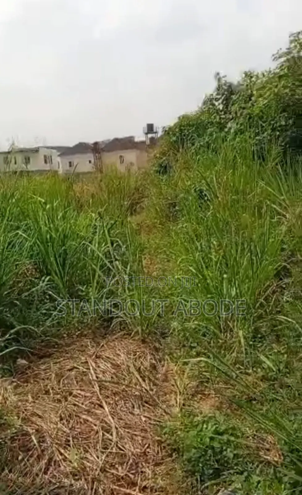 Massive 4 Plot of Dry Land Good for Mini Estate Etc for Sale Gbagada in Soluyi