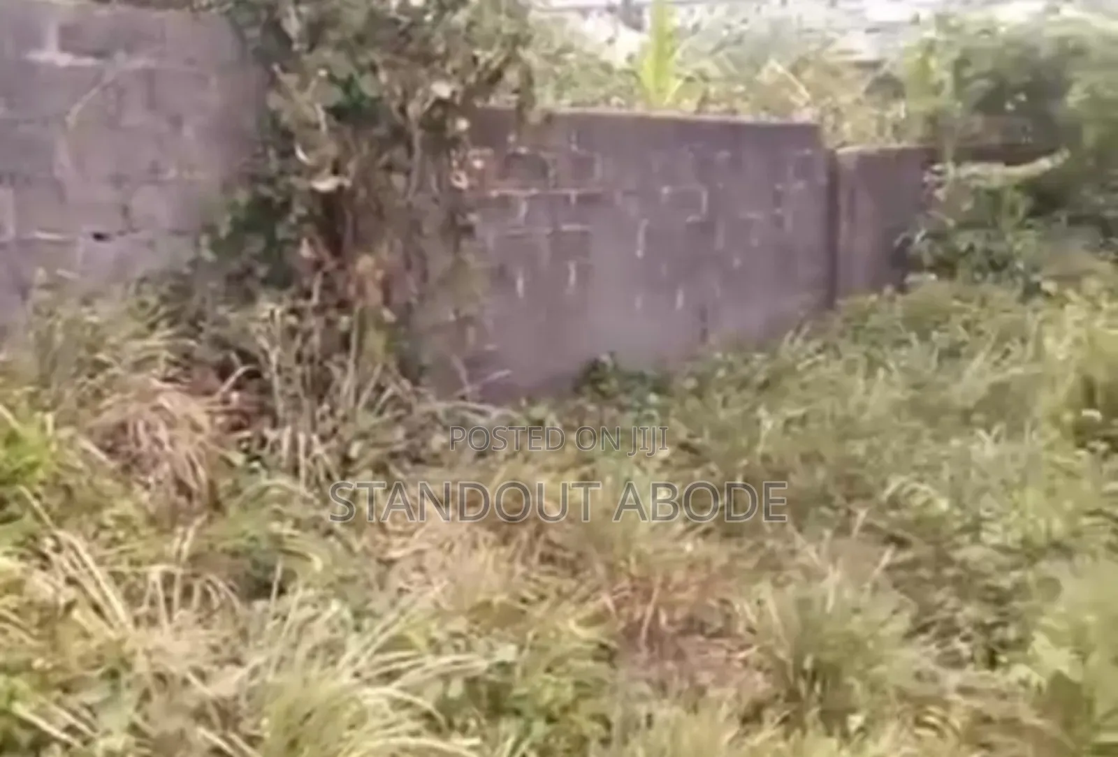 1 and Half Plot of Land for Sale in Adamo in Adamo