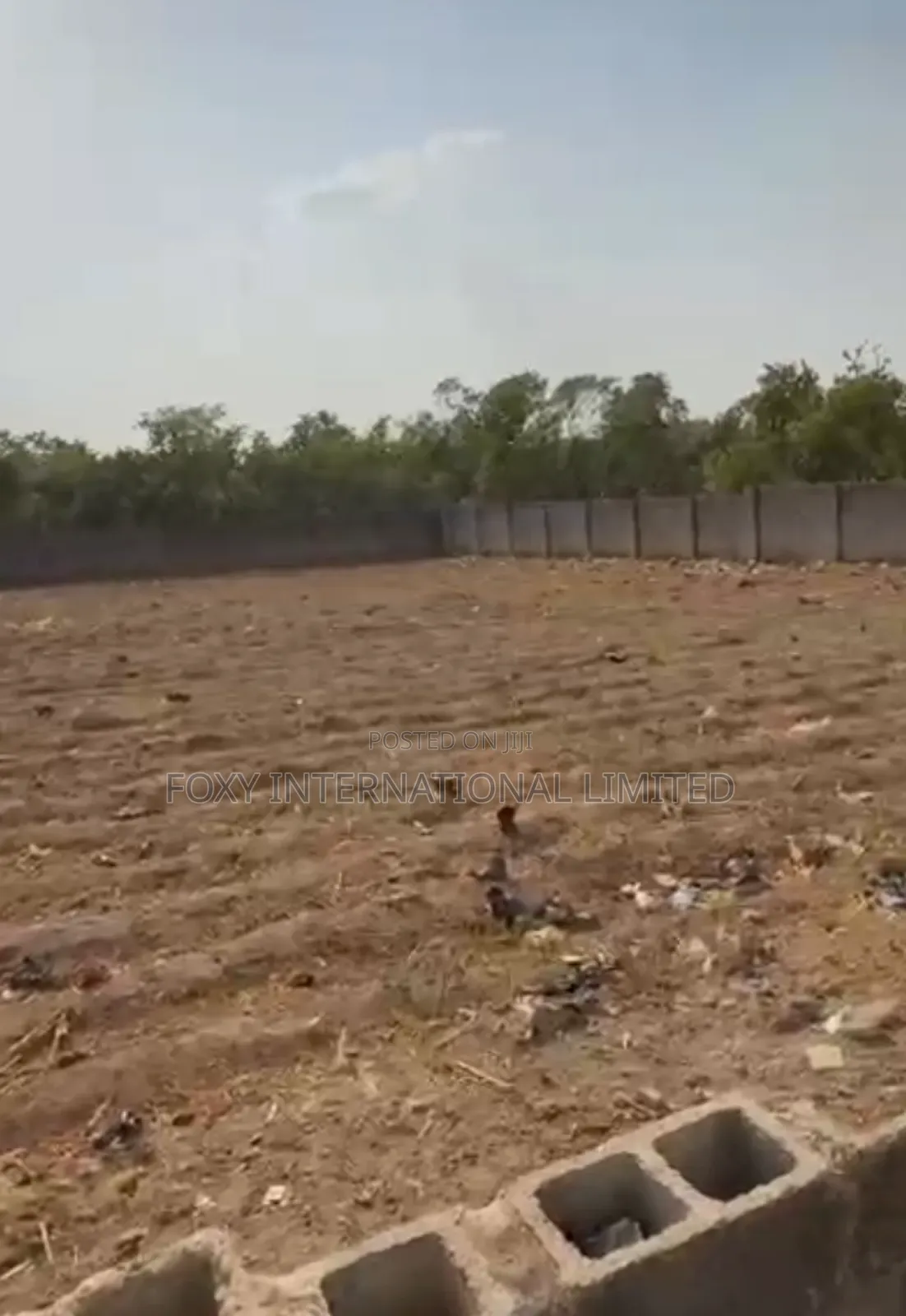 Jahi Commercial Land in Jahi