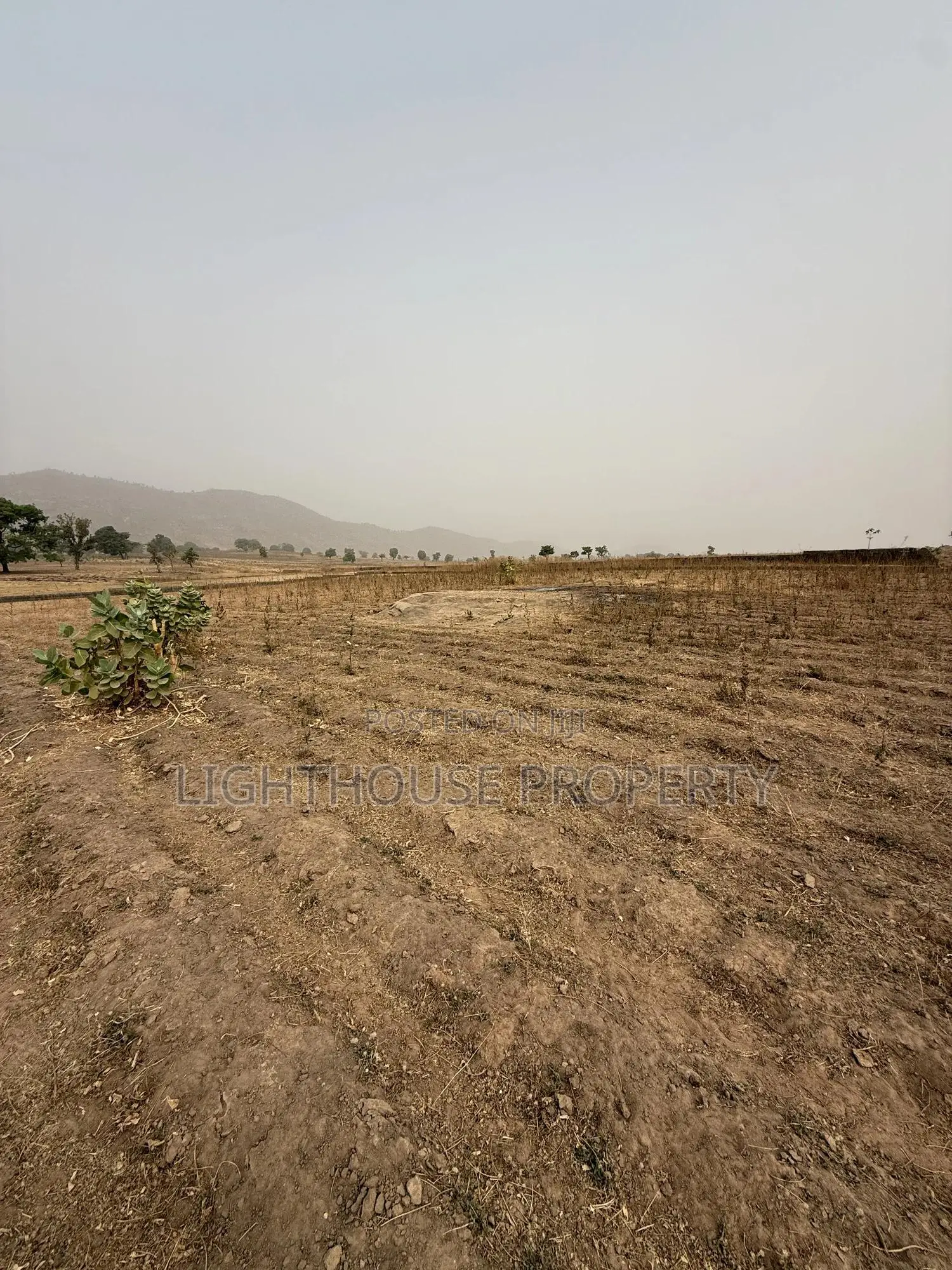 Suitable Land for Farming in Karu-Nasarawa
