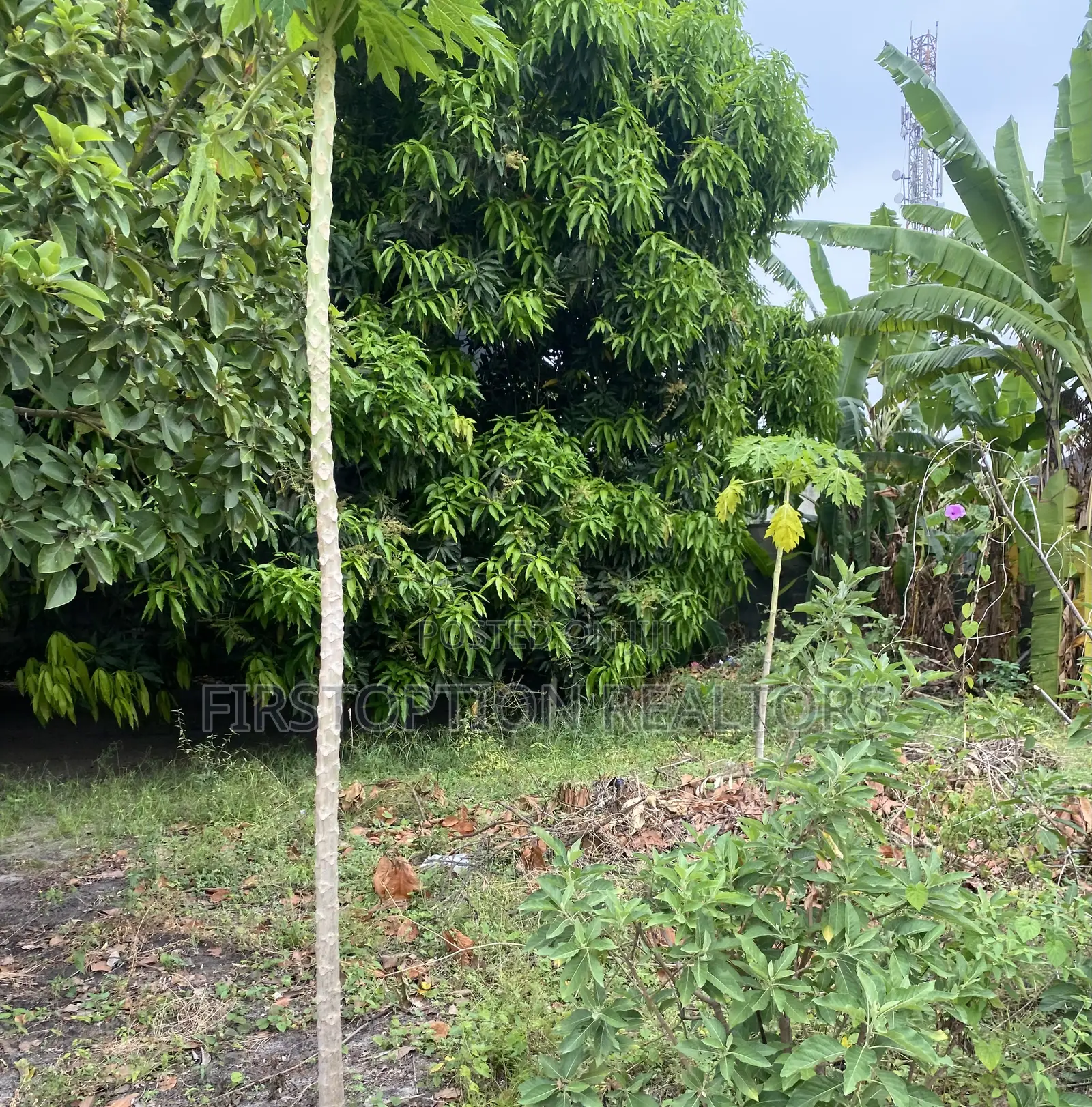 Distress Half Plot of Land Measuring 300sqm at Ogombo Ajah in Ogombo