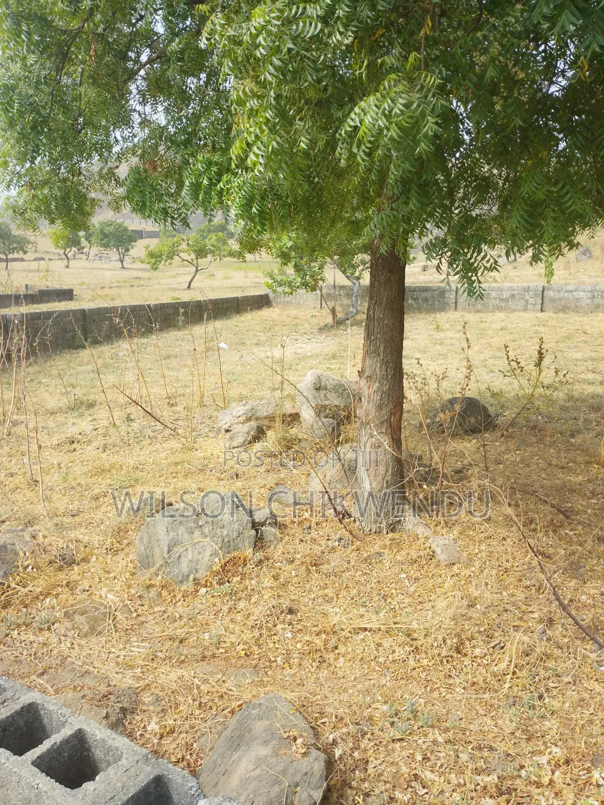 Land For Sale in Tungan